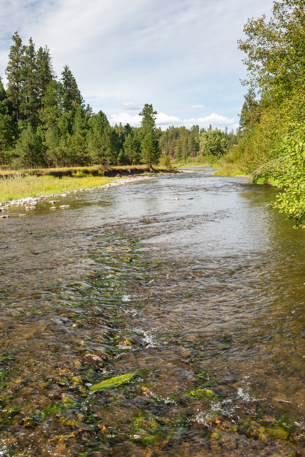 Wikimedia Commons