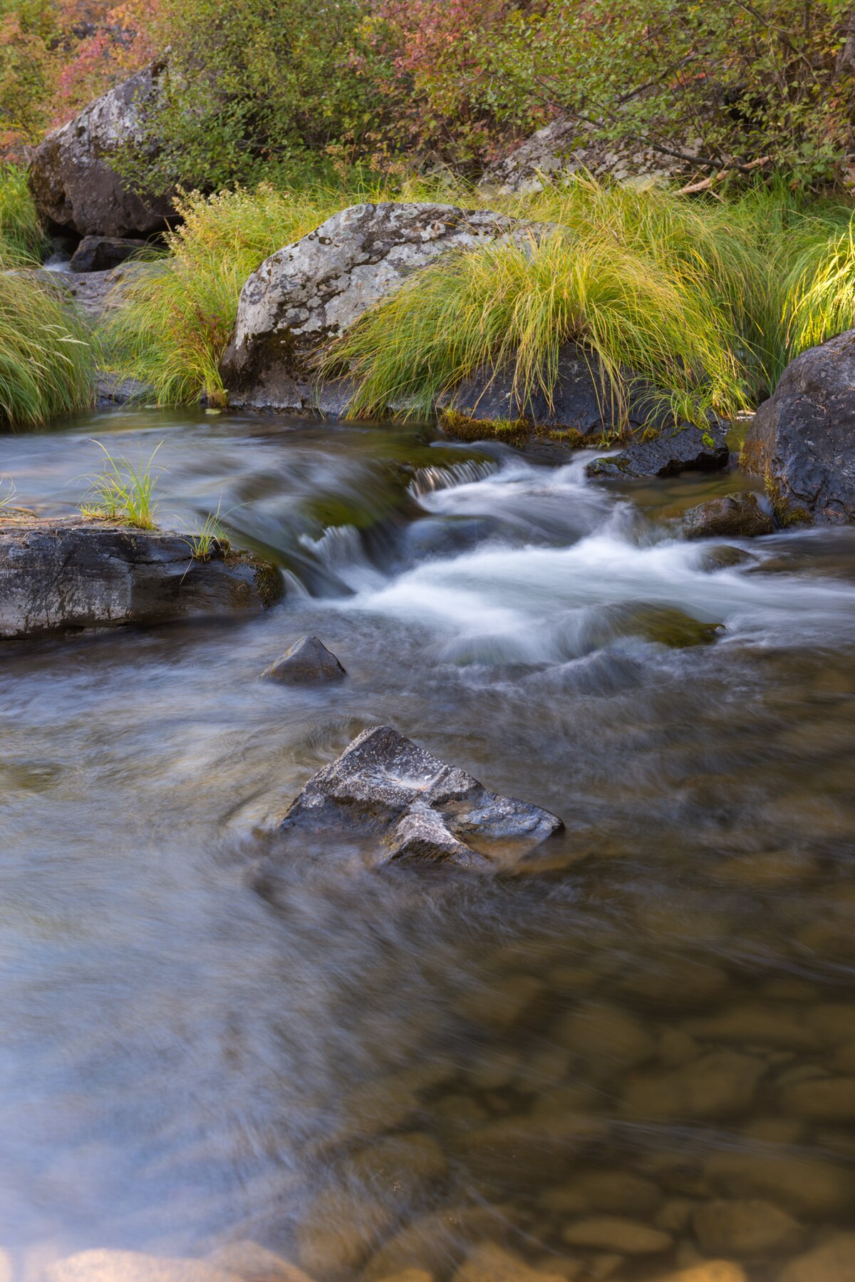 Deerhorn Campground