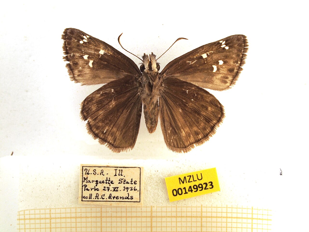 Wikimedia Commons