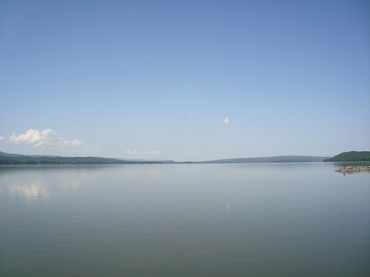 Wikimedia Commons