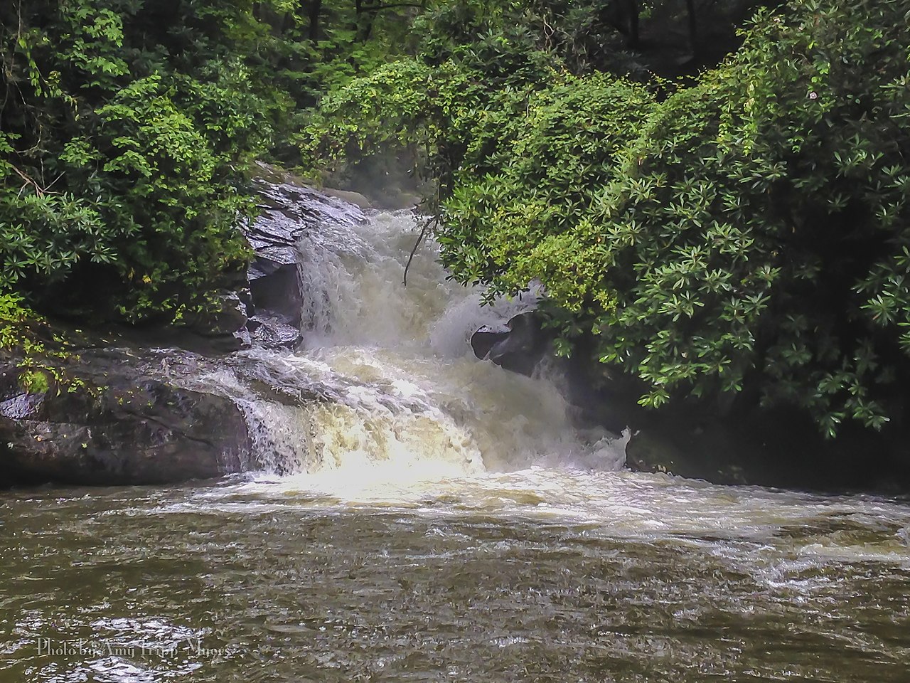 Devils Fork State Park