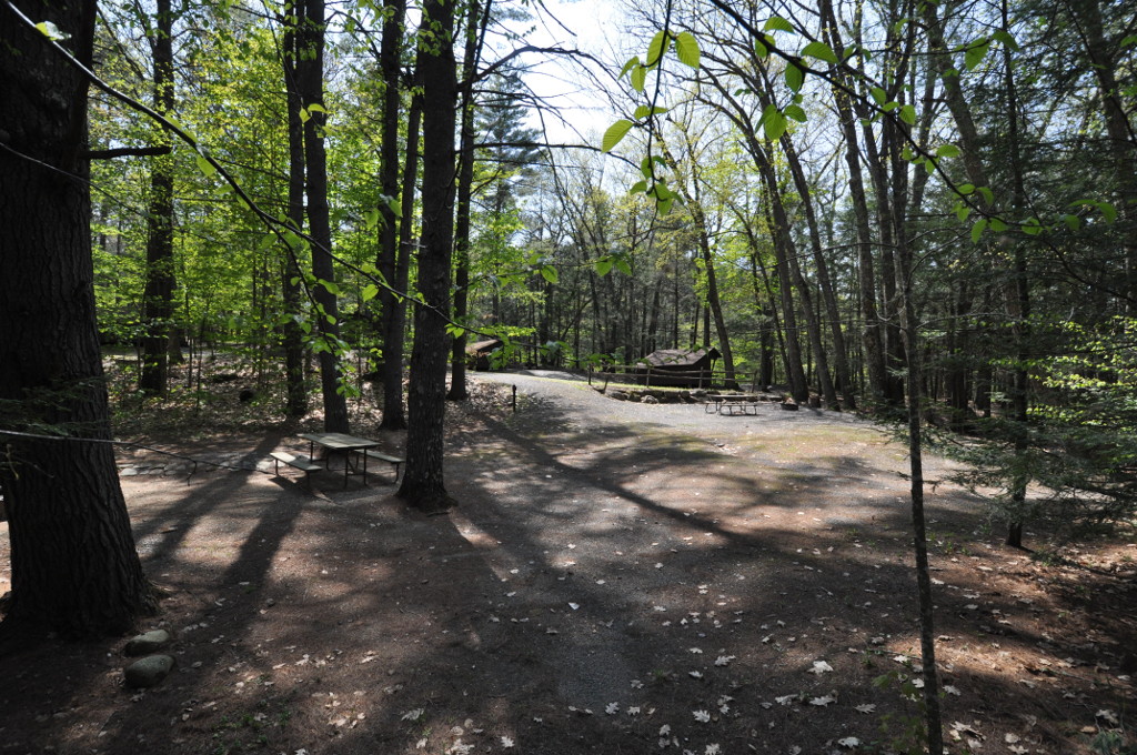 Townshend State Park