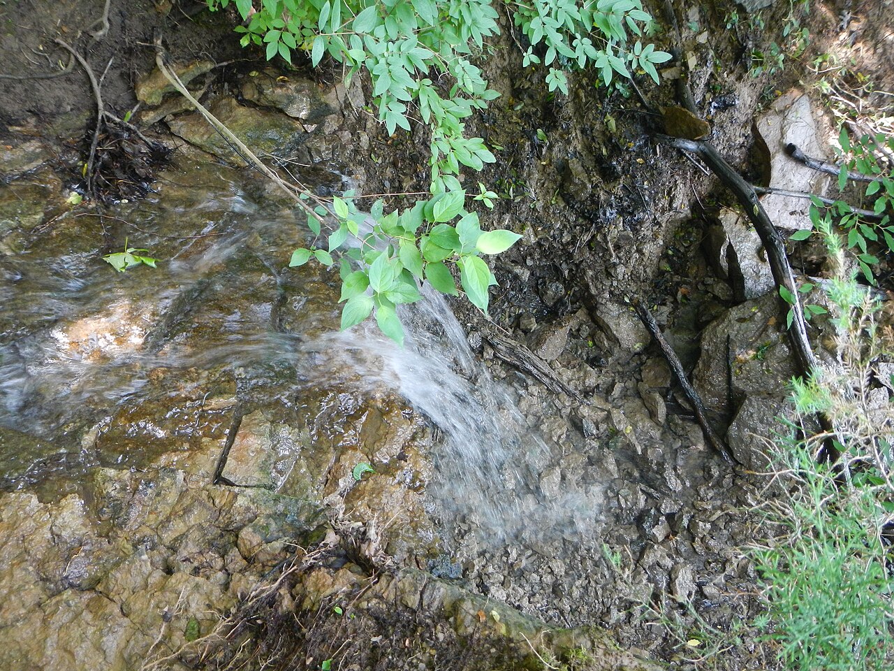 Kickapoo Campground