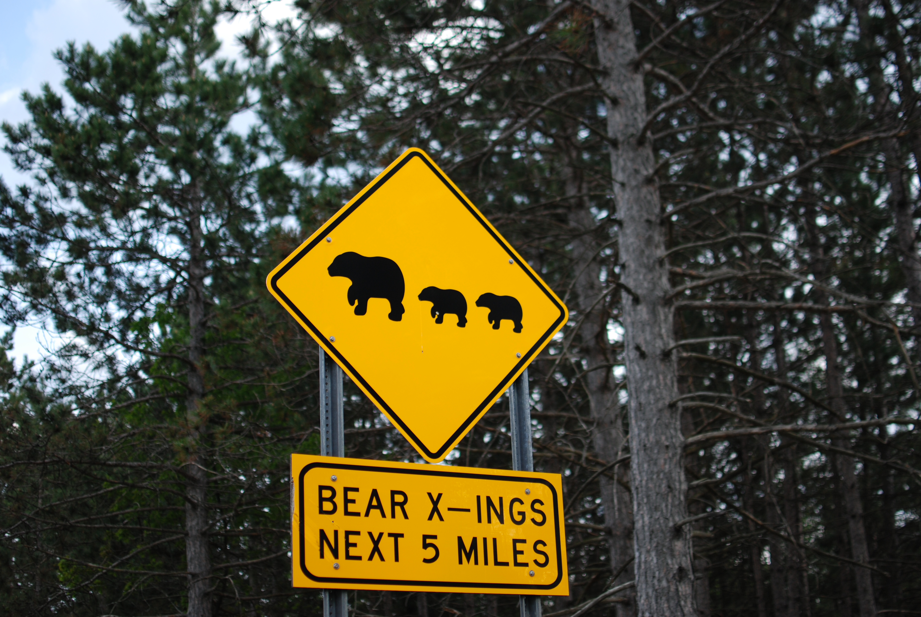 Mack Lake Orv Campground