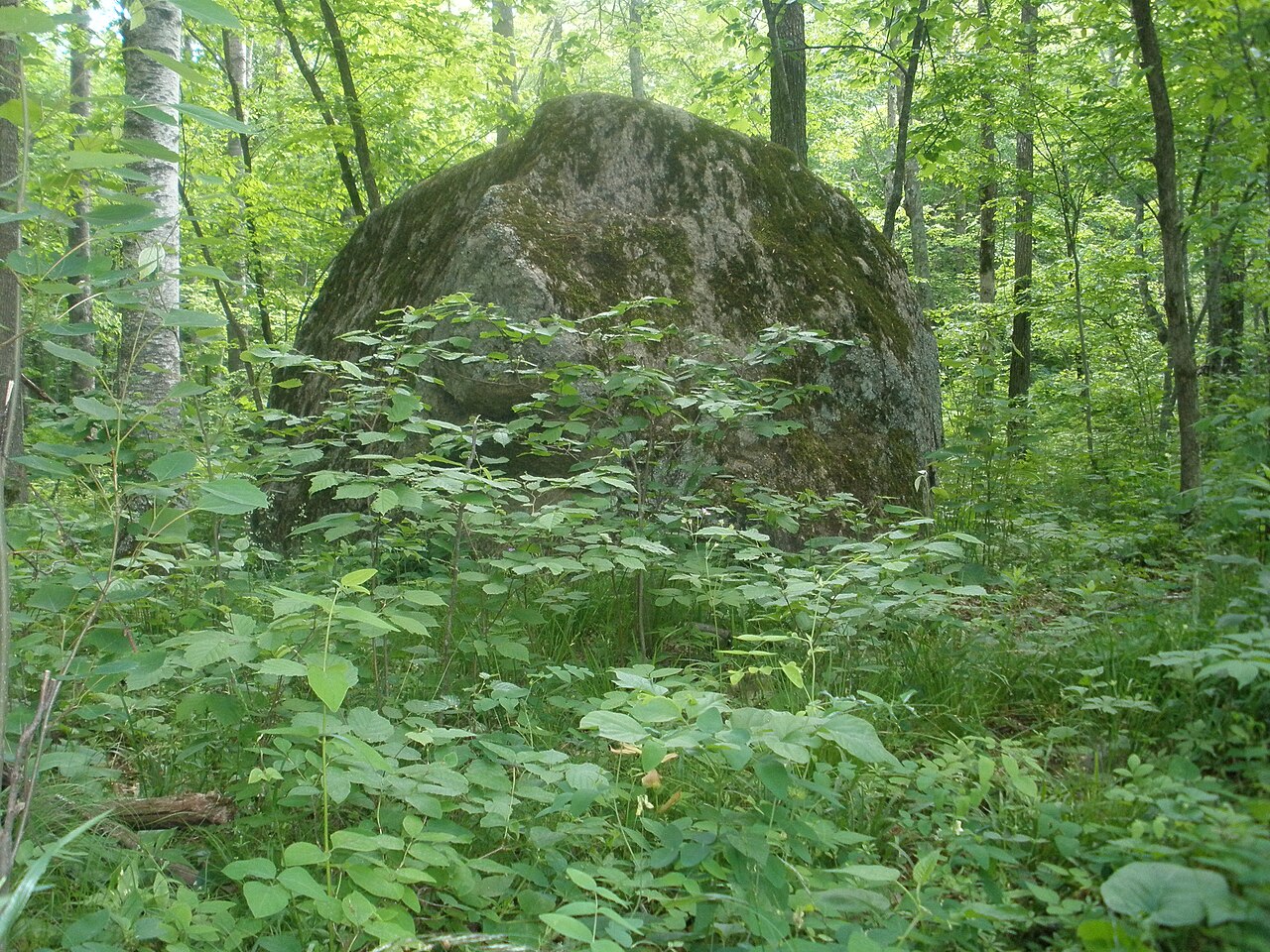 Wikimedia Commons