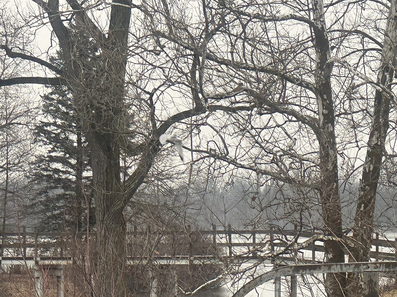 Filburn's Island Campground