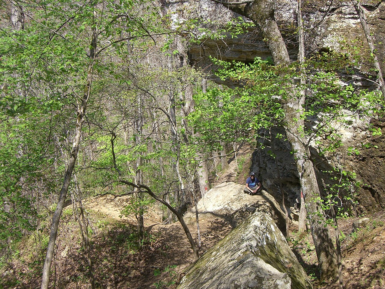 Devils Den State Park