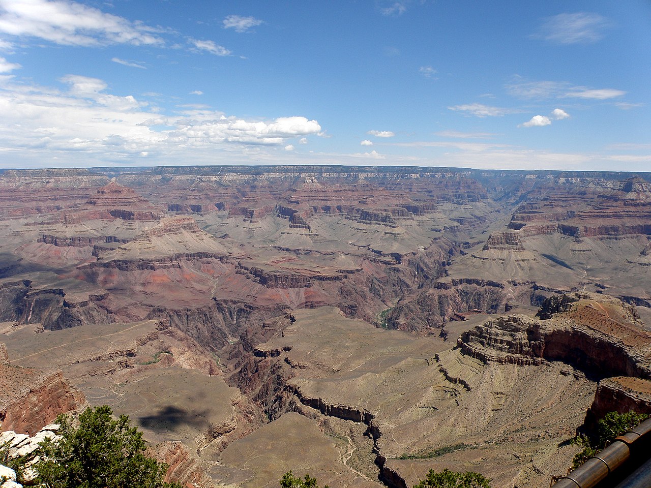 Wikimedia Commons