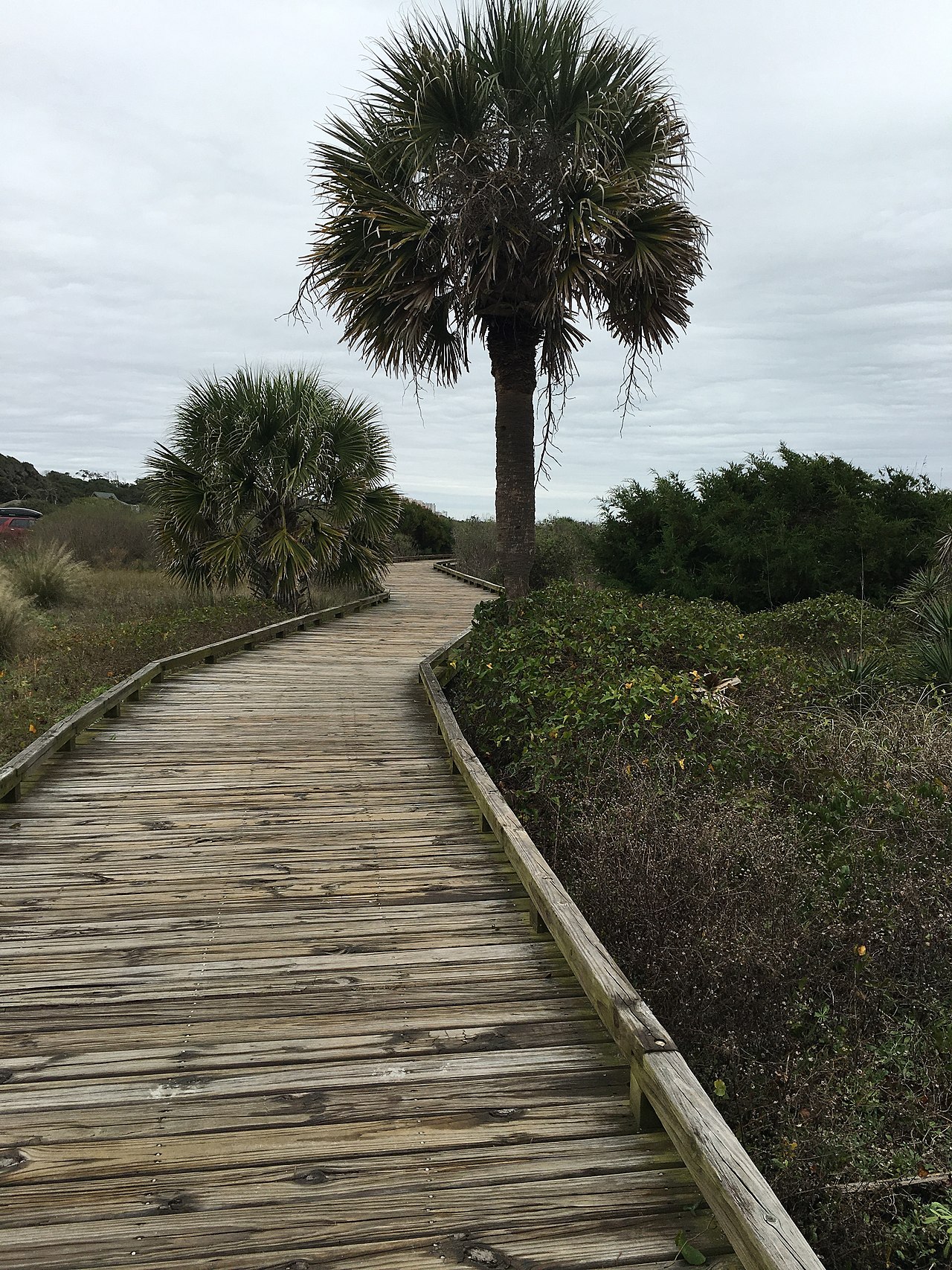 Myrtle Beach State Park