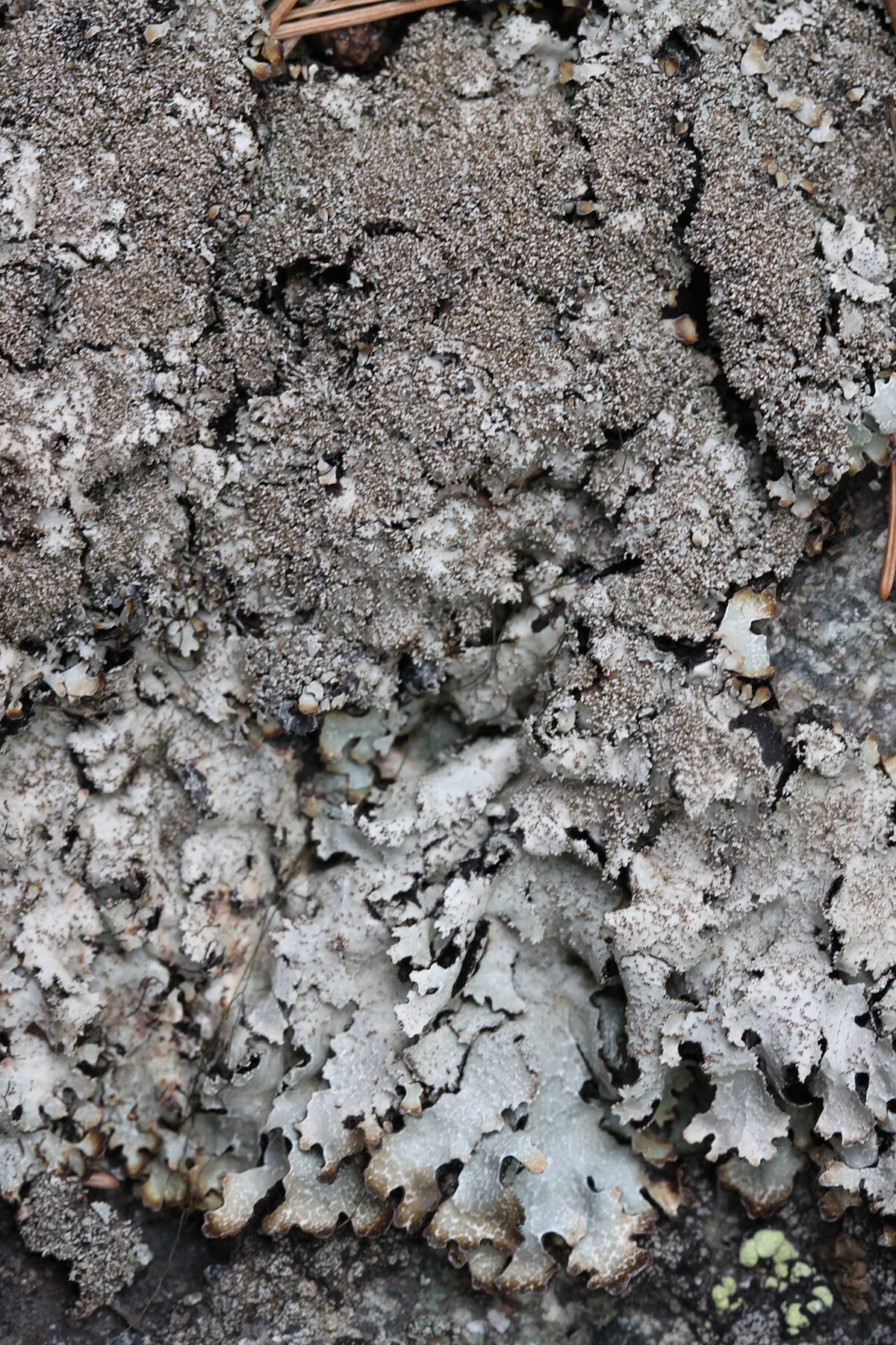 Lee Creek Campground