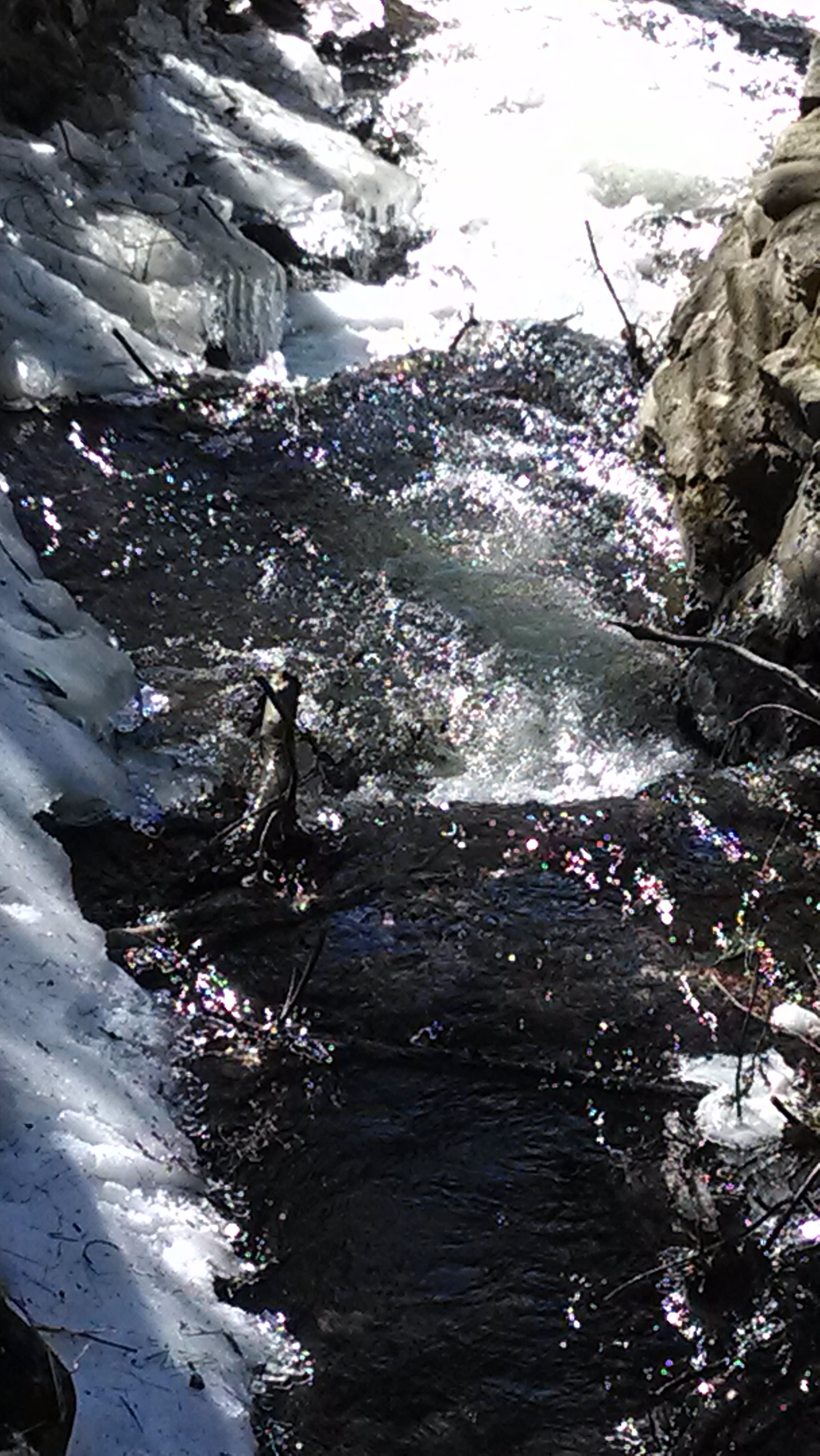 Caledonia State Park