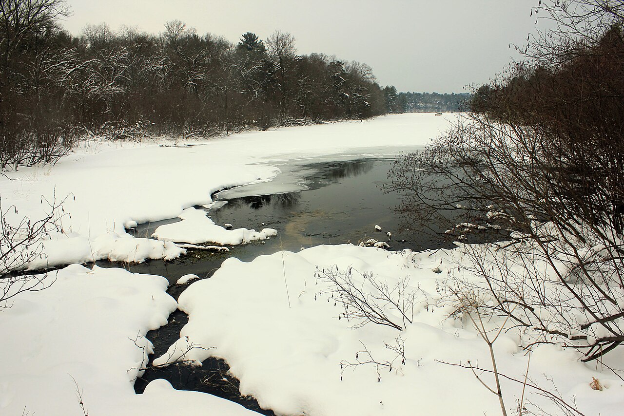Wikimedia Commons