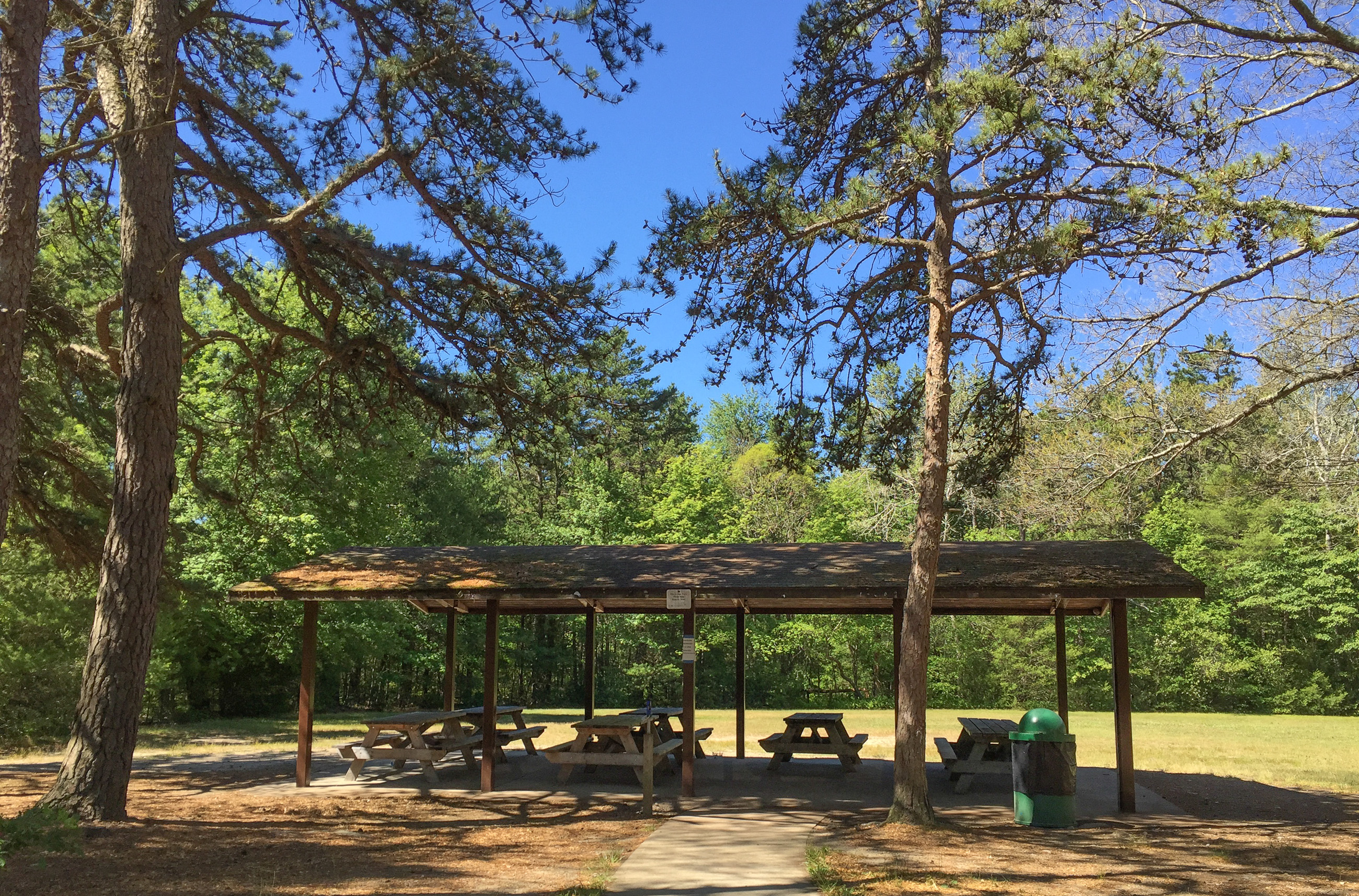 Freetown State Forest