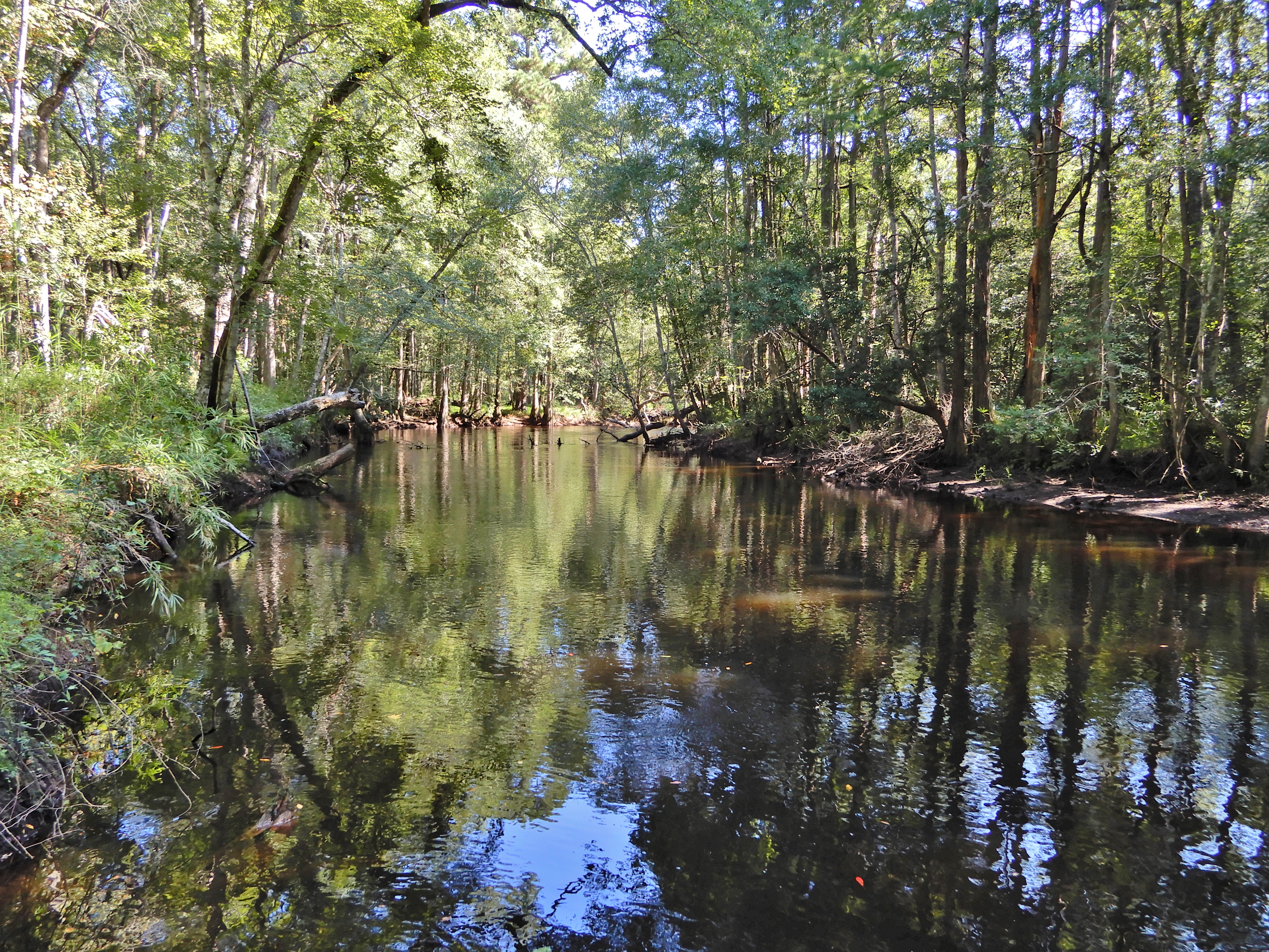 Lumber River State Park