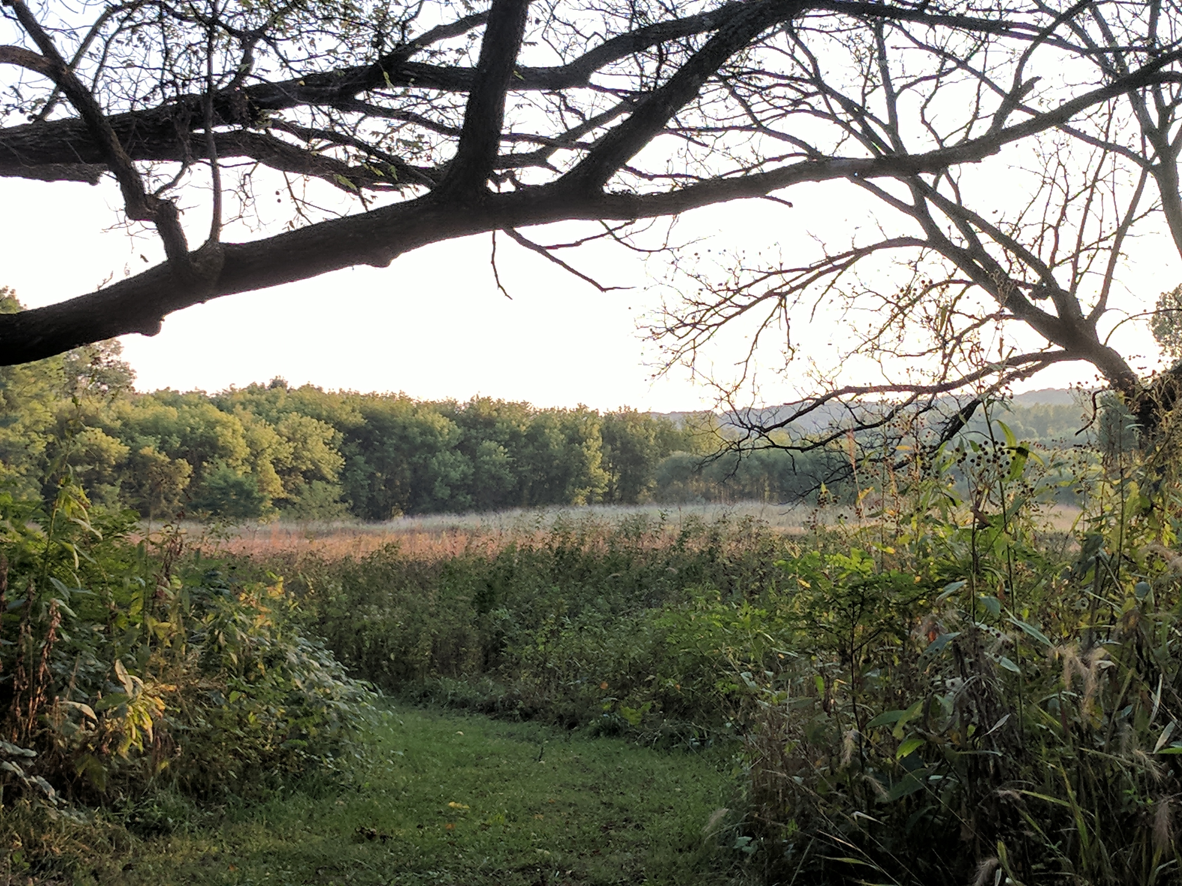 Ledges State Park