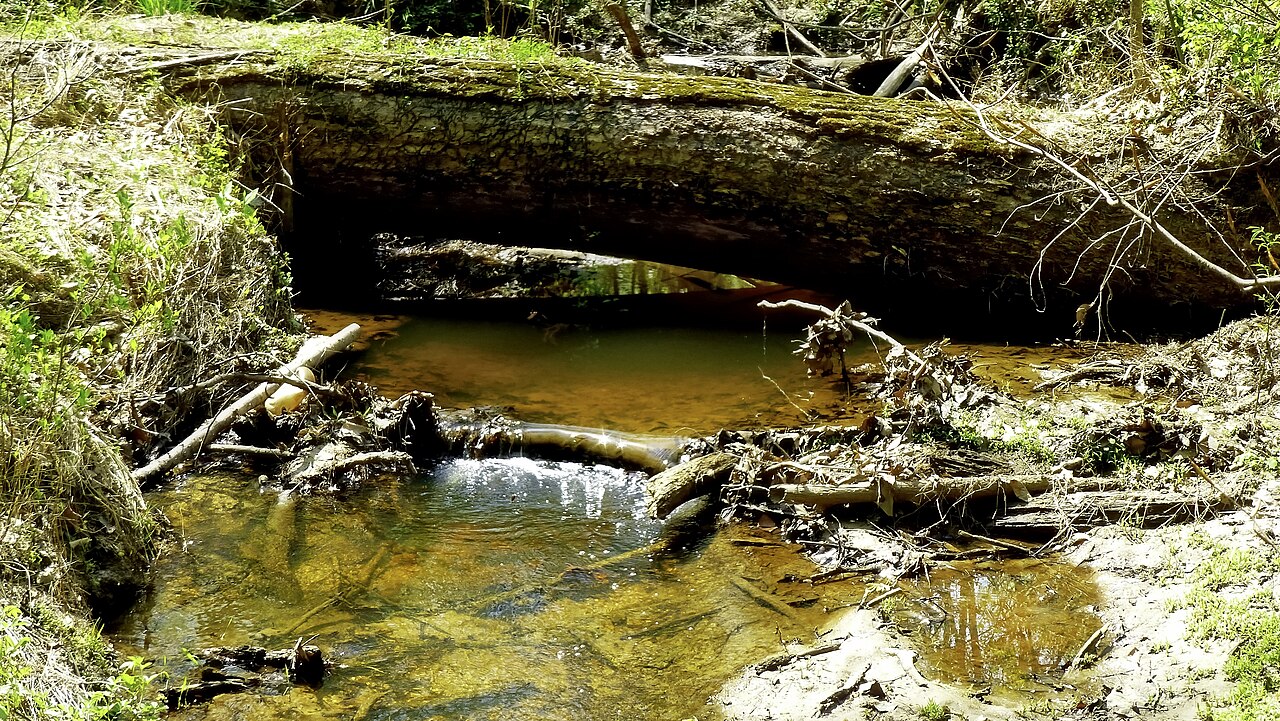 Smallwood State Park