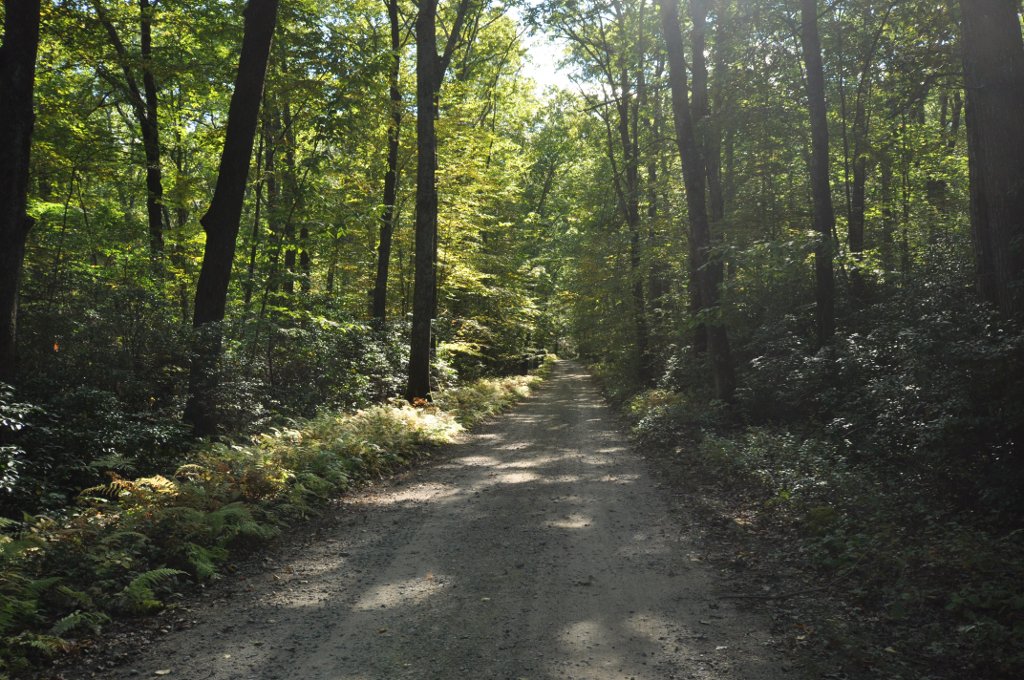 Wikimedia Commons