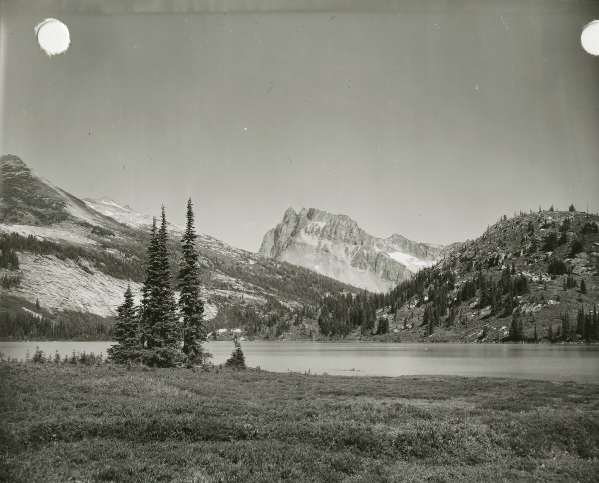Wikimedia Commons