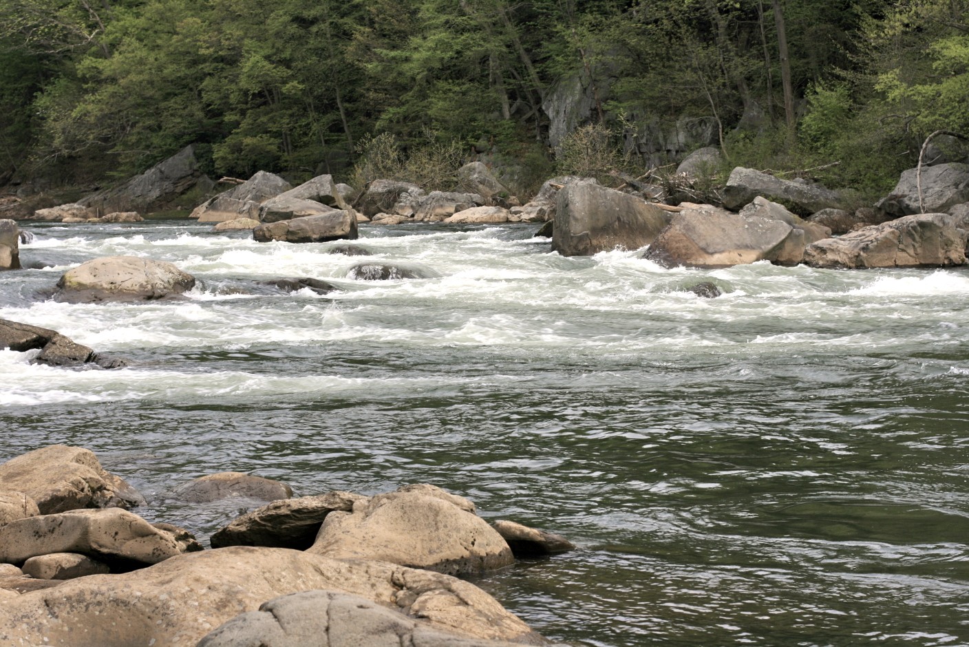 Ohiopyle State Park