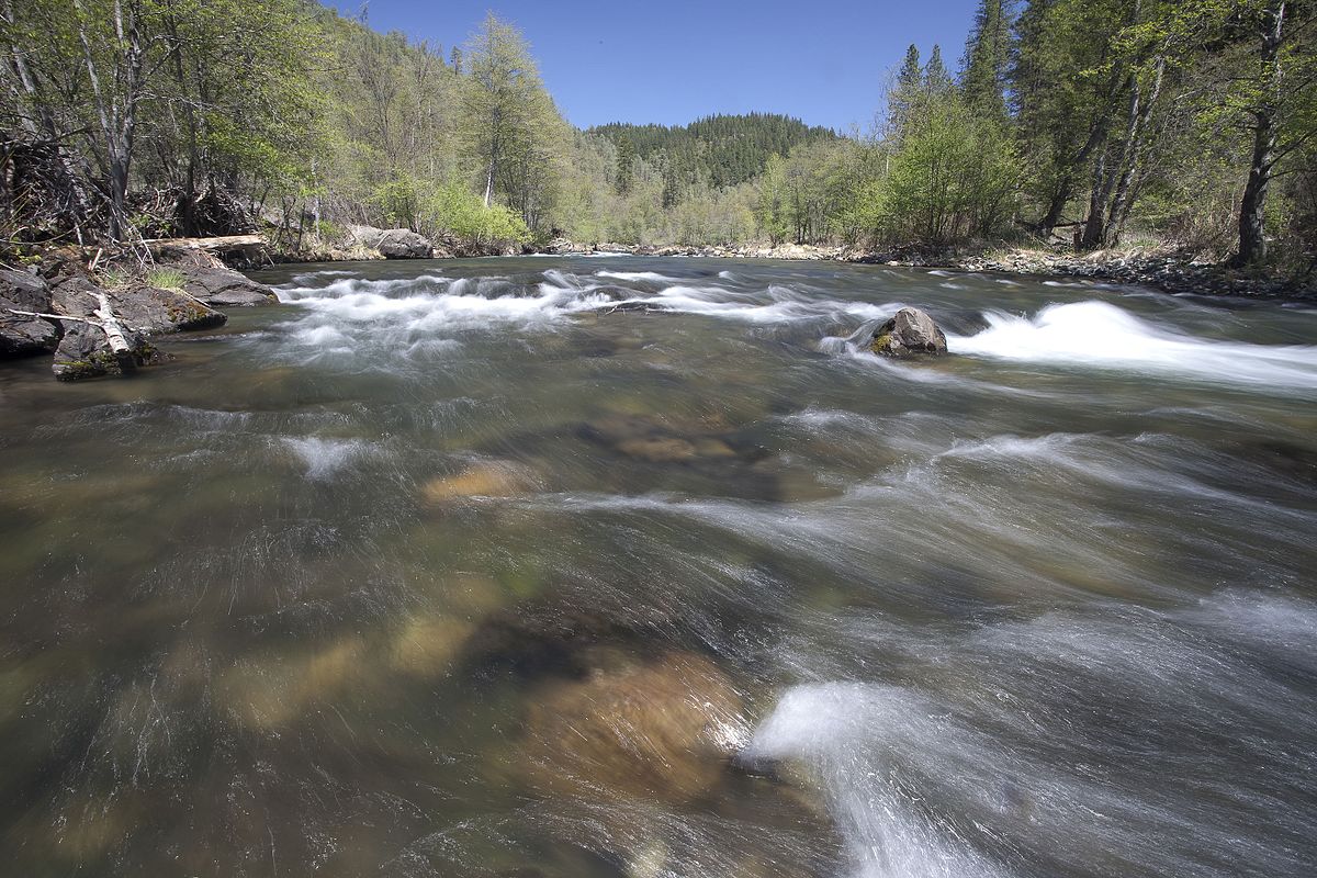 Trinity River Campground