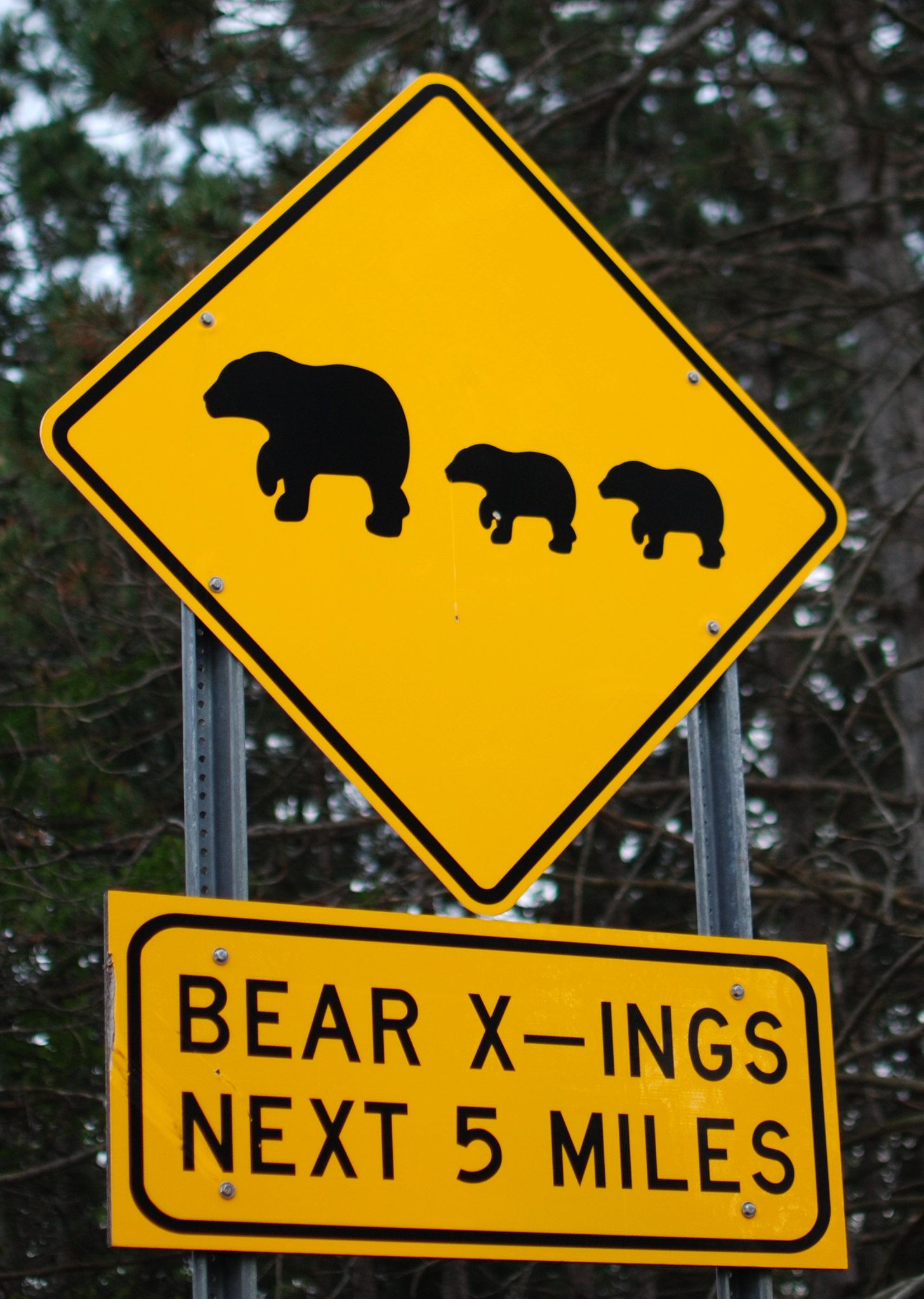 Mack Lake Orv Campground