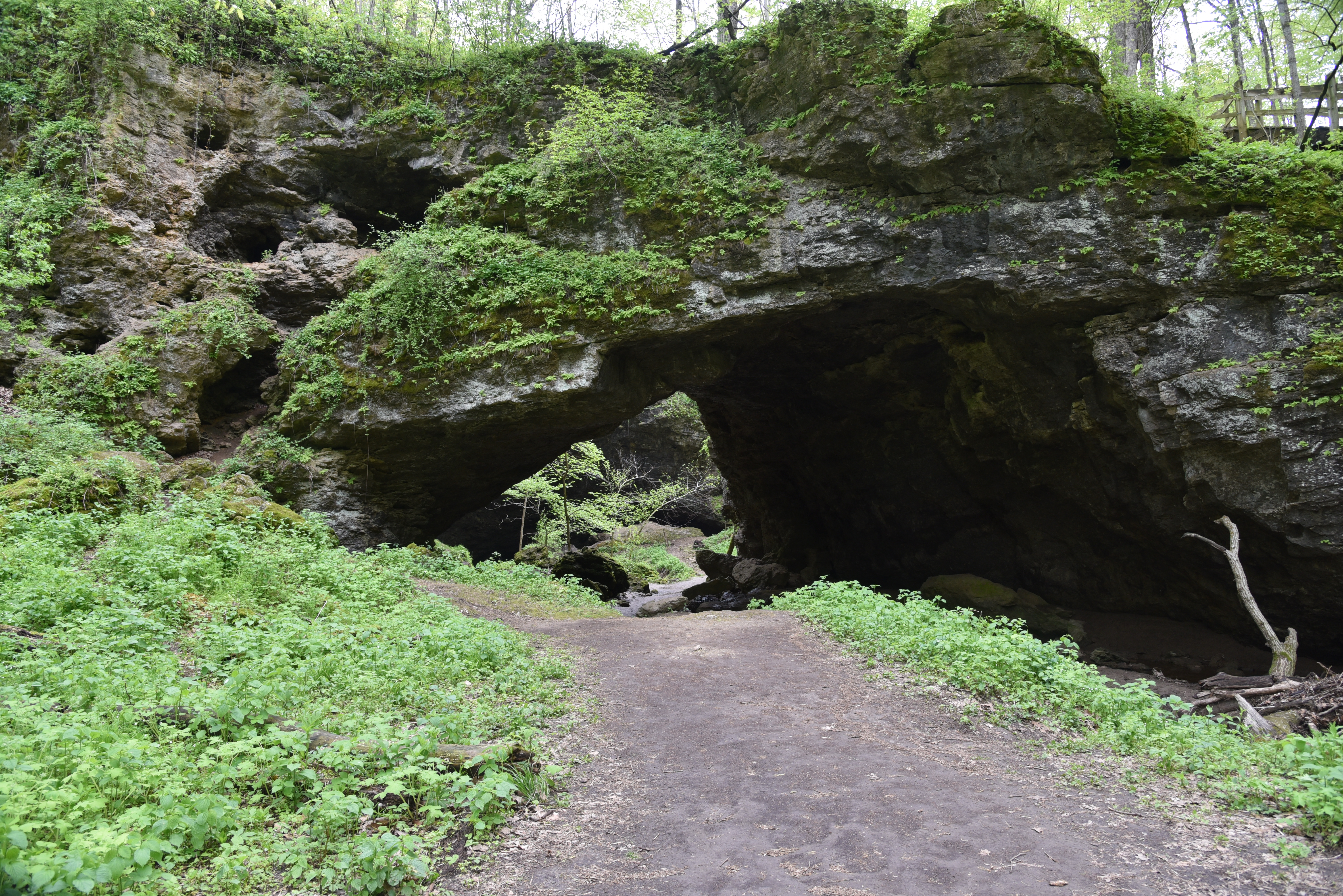 Maquoketa Caves State Park