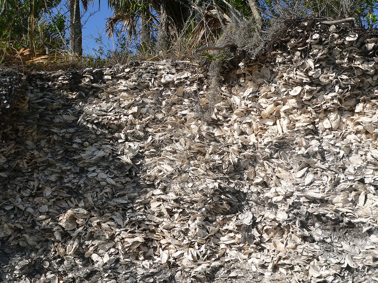 Edisto Beach State Park