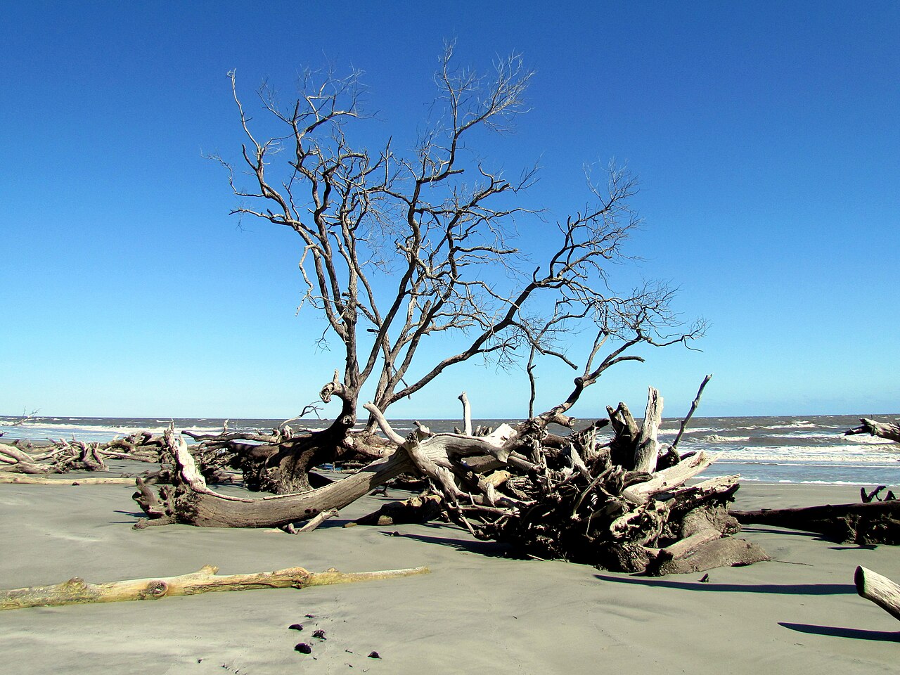 Wikimedia Commons