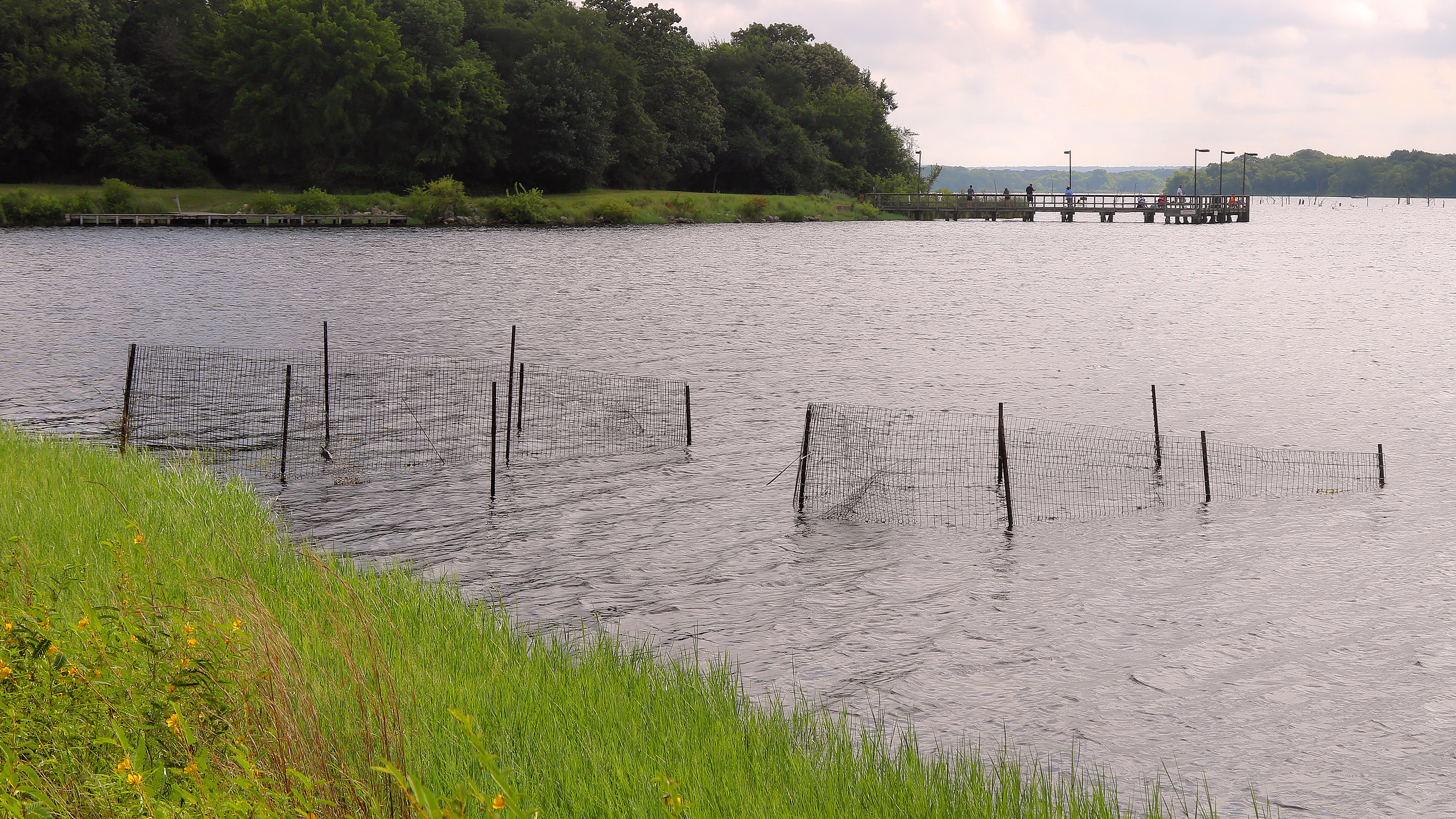 Purtis Creek State Park