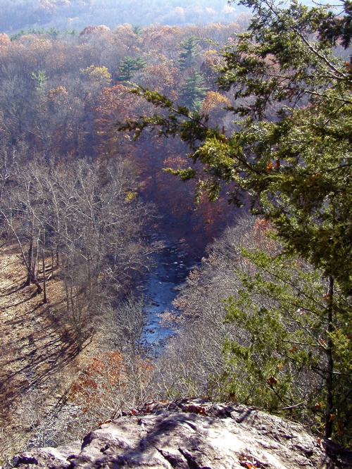 Wikimedia Commons