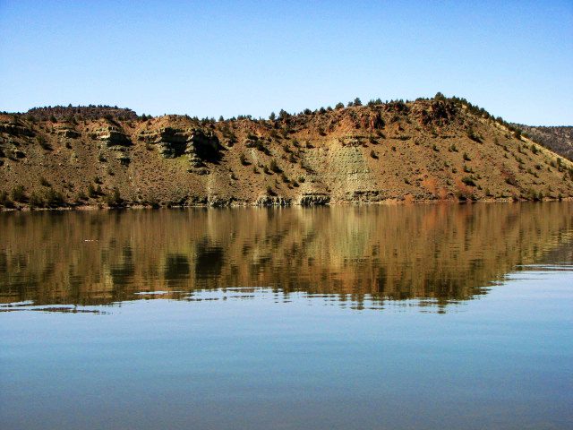 Wikimedia Commons