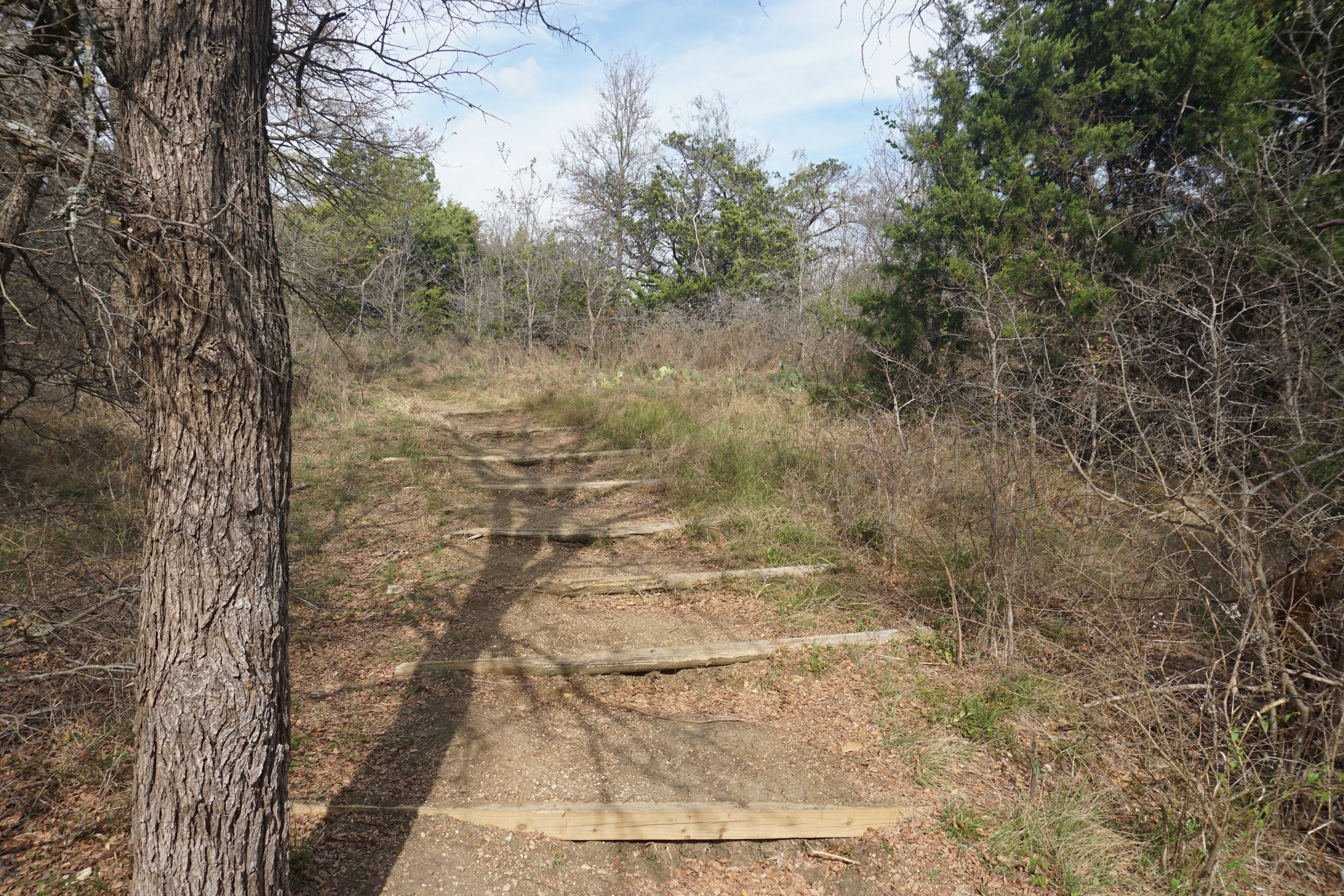 Cedar Hill State Park