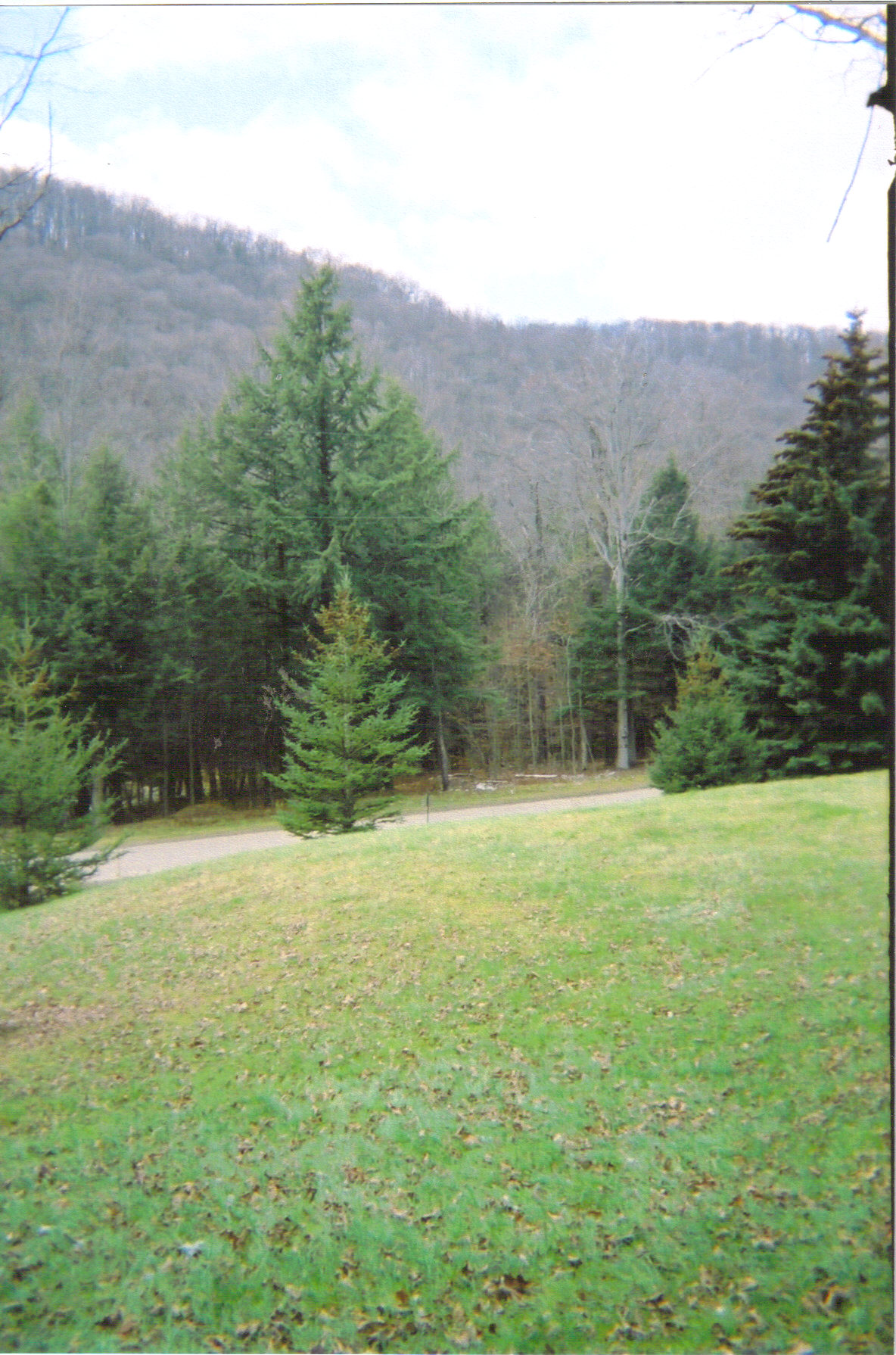 Wikimedia Commons