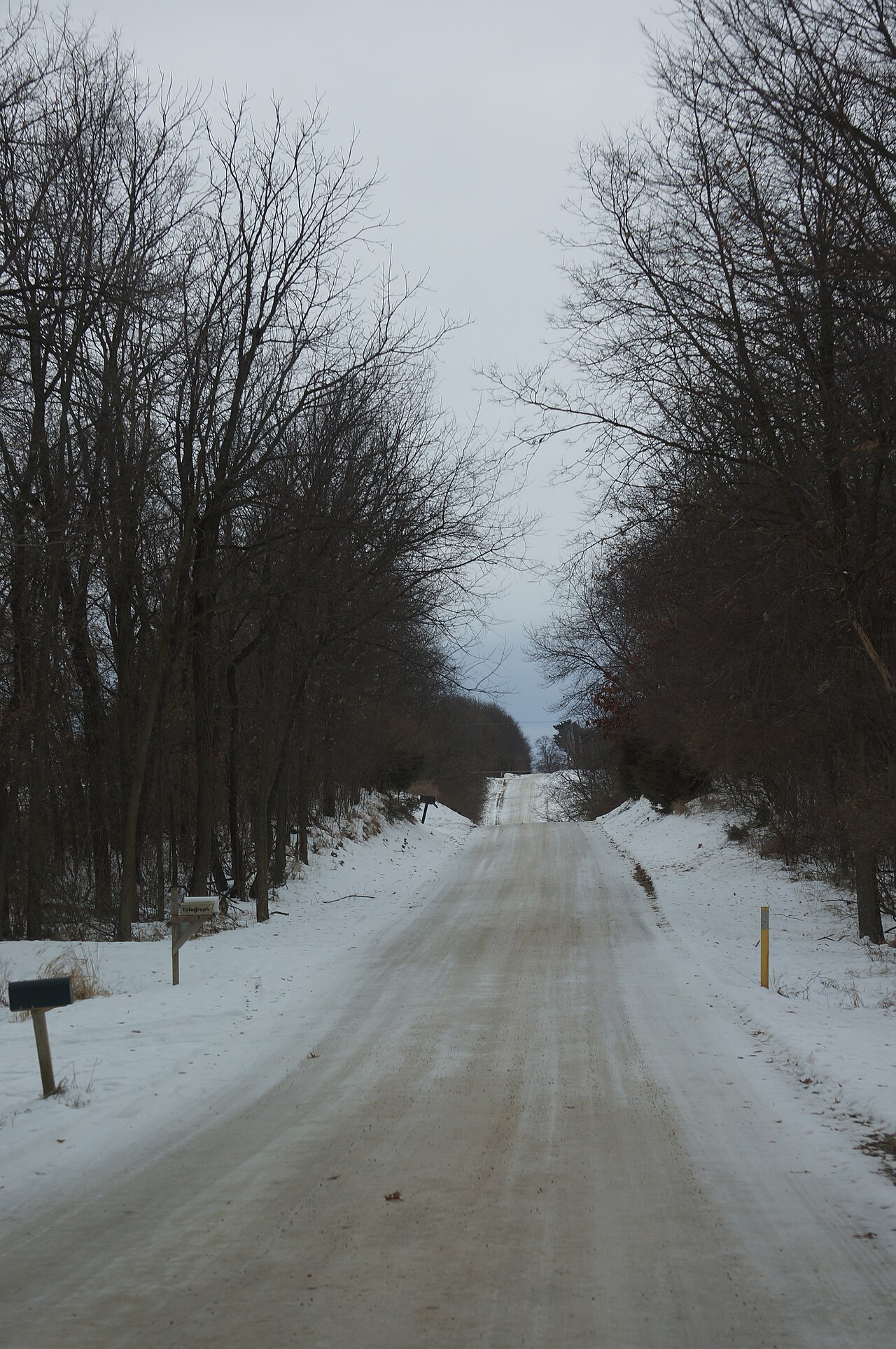 Wikimedia Commons