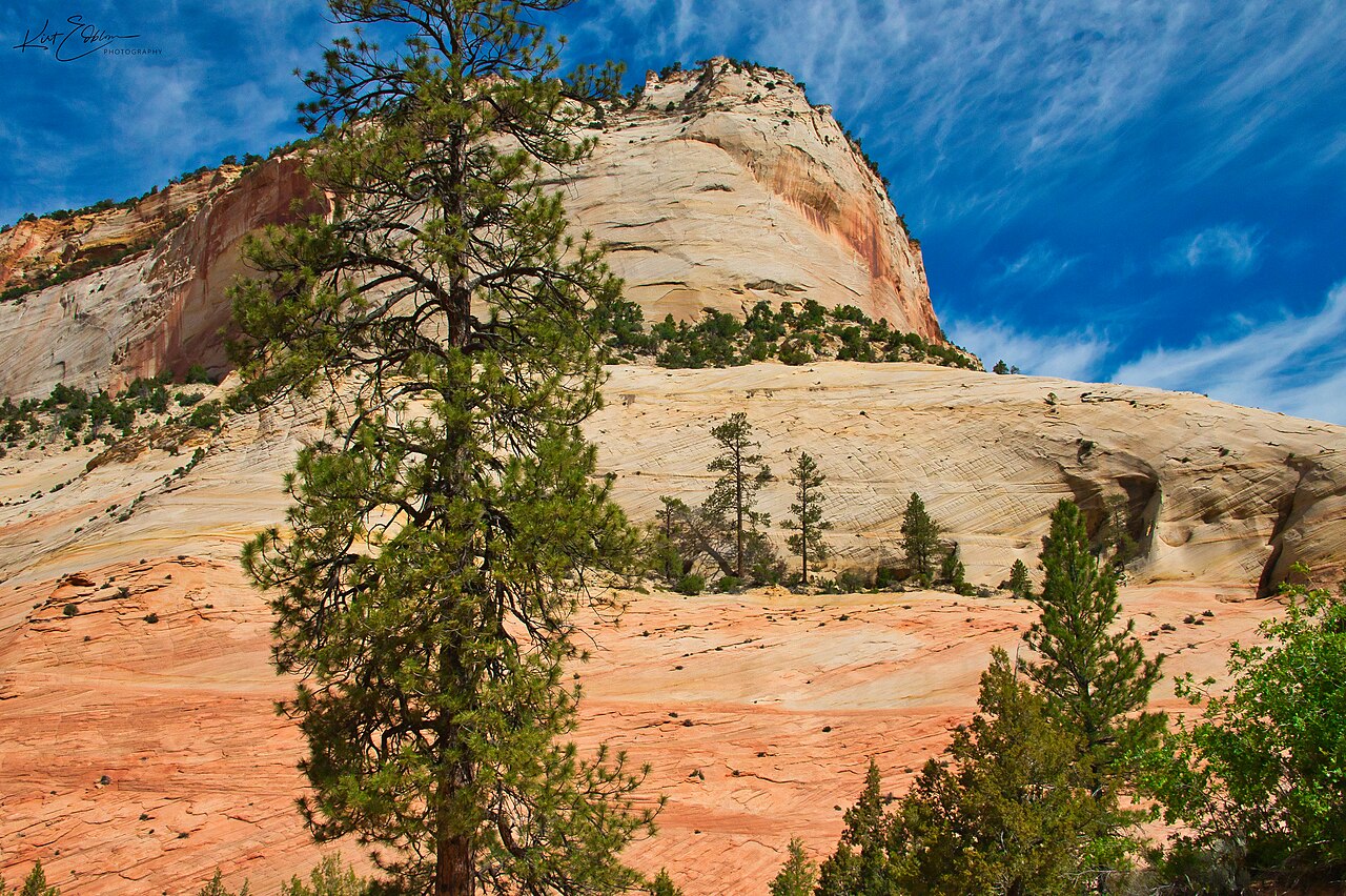 Watchman Campground