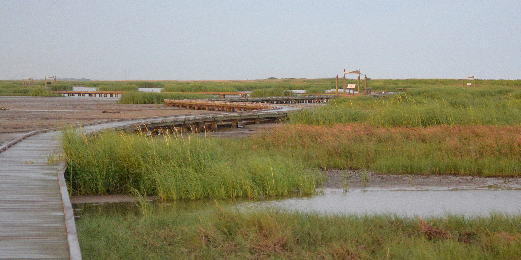 Sea Rim State Park