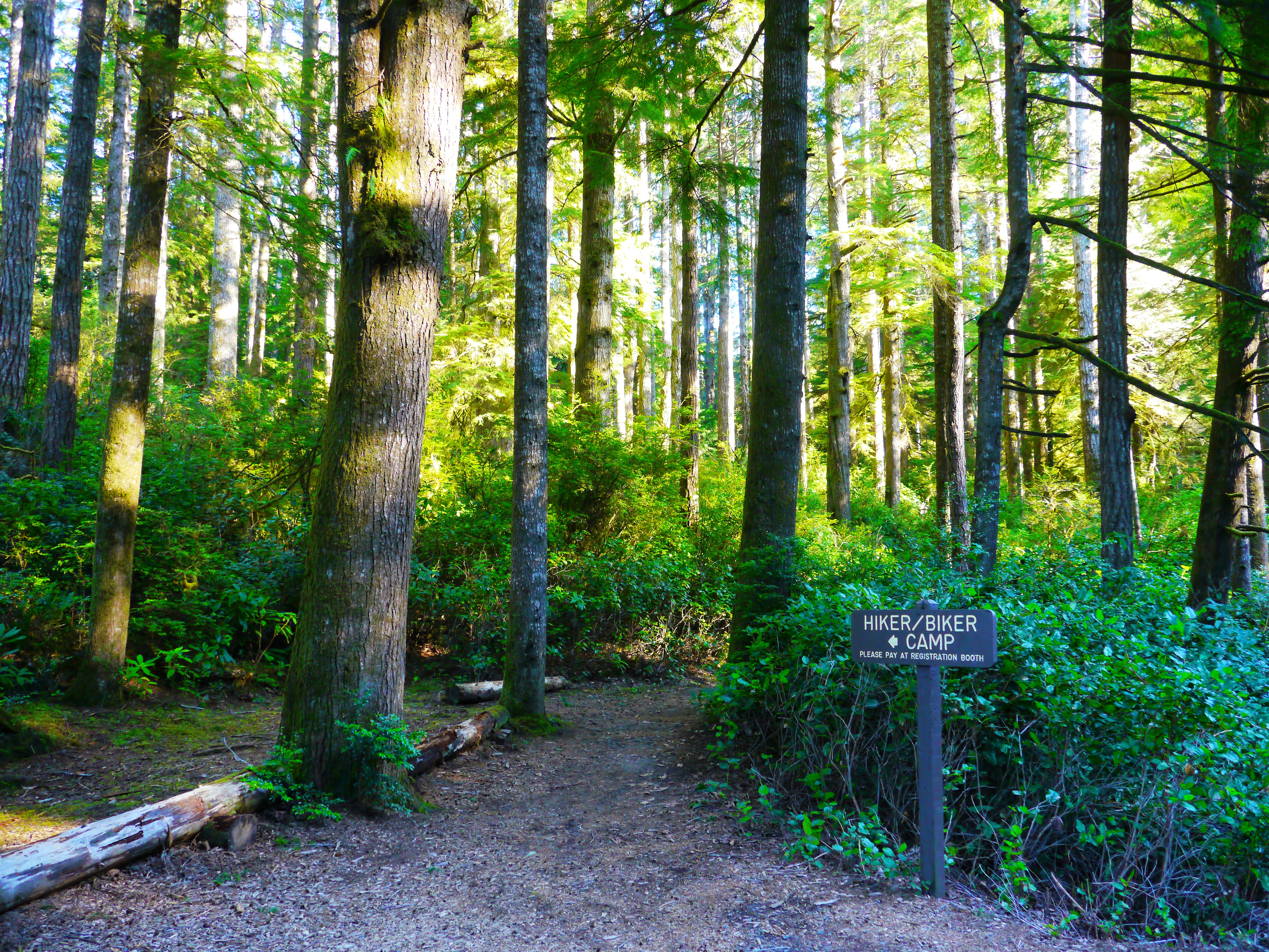 Jessie M. Honeyman Memorial State Park