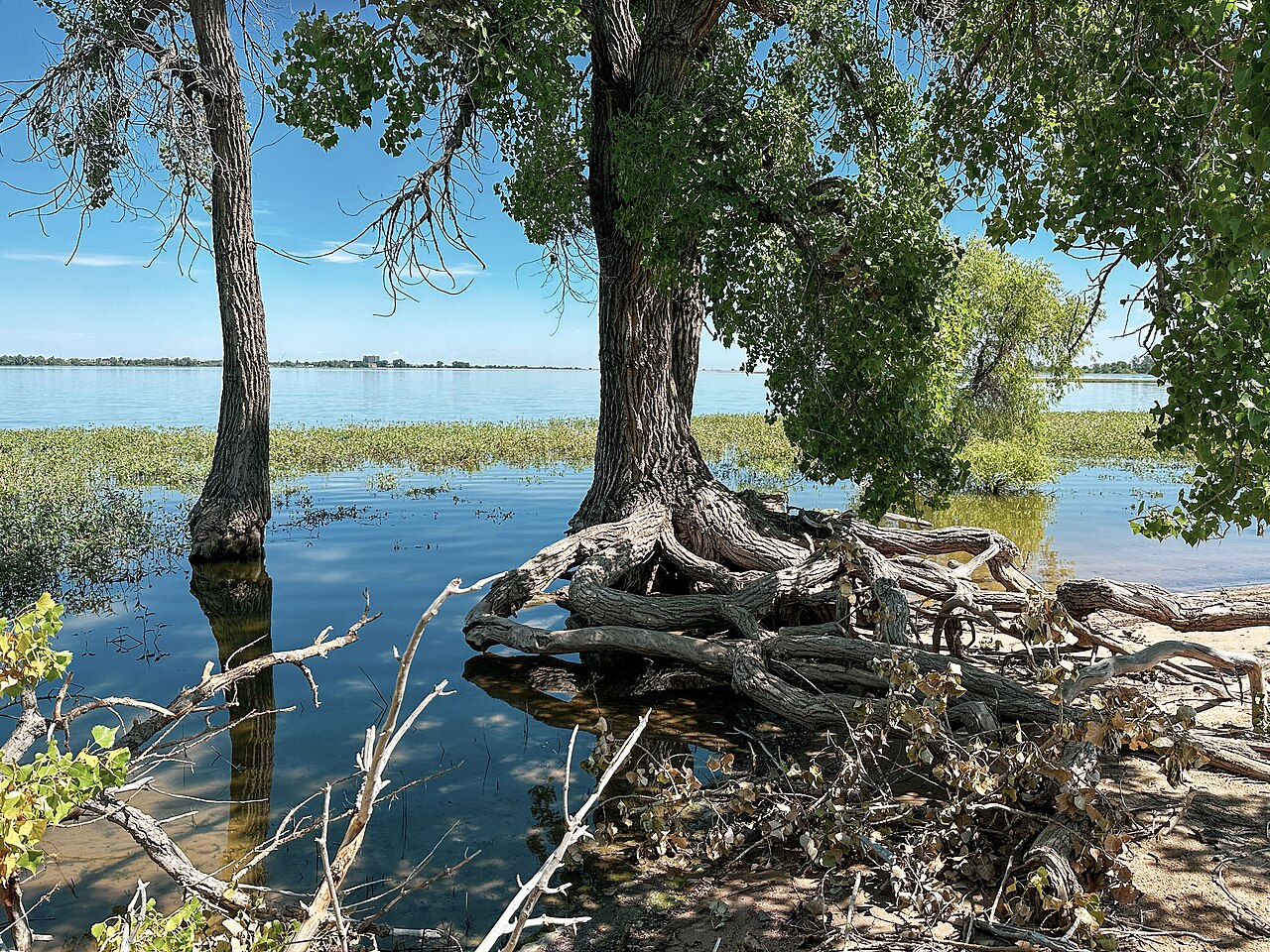 Barr Lake Campground