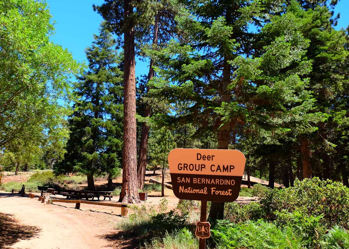 Deer Group Campground