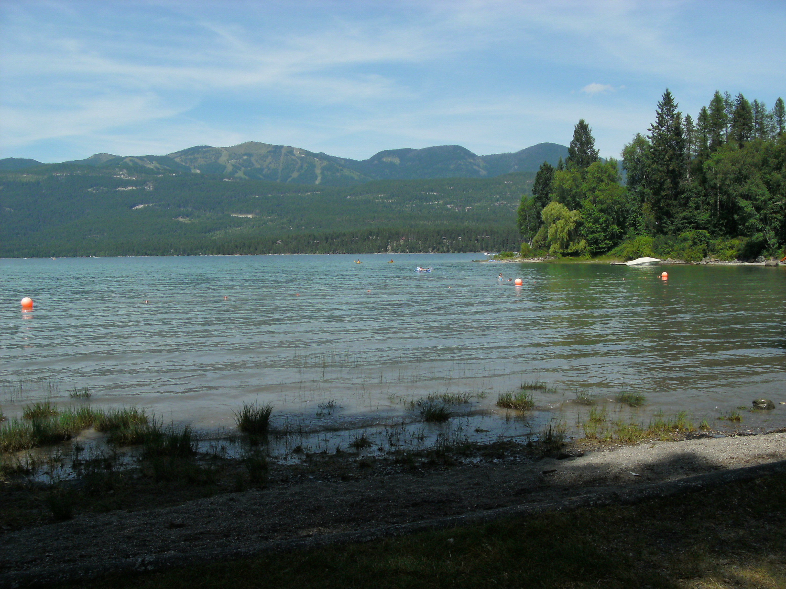 Wikimedia Commons