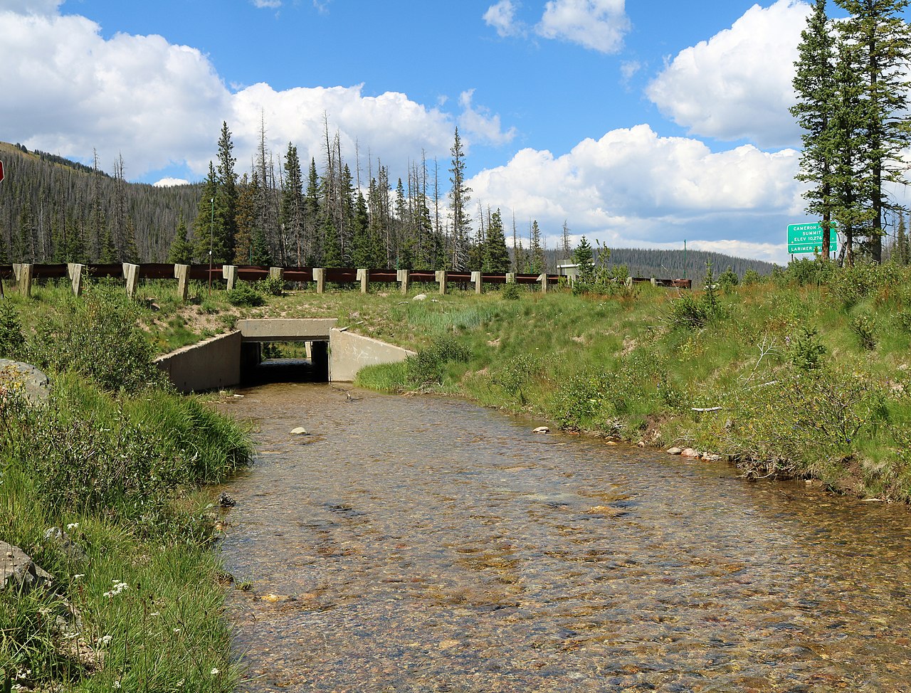 Platte River State Forest Campground