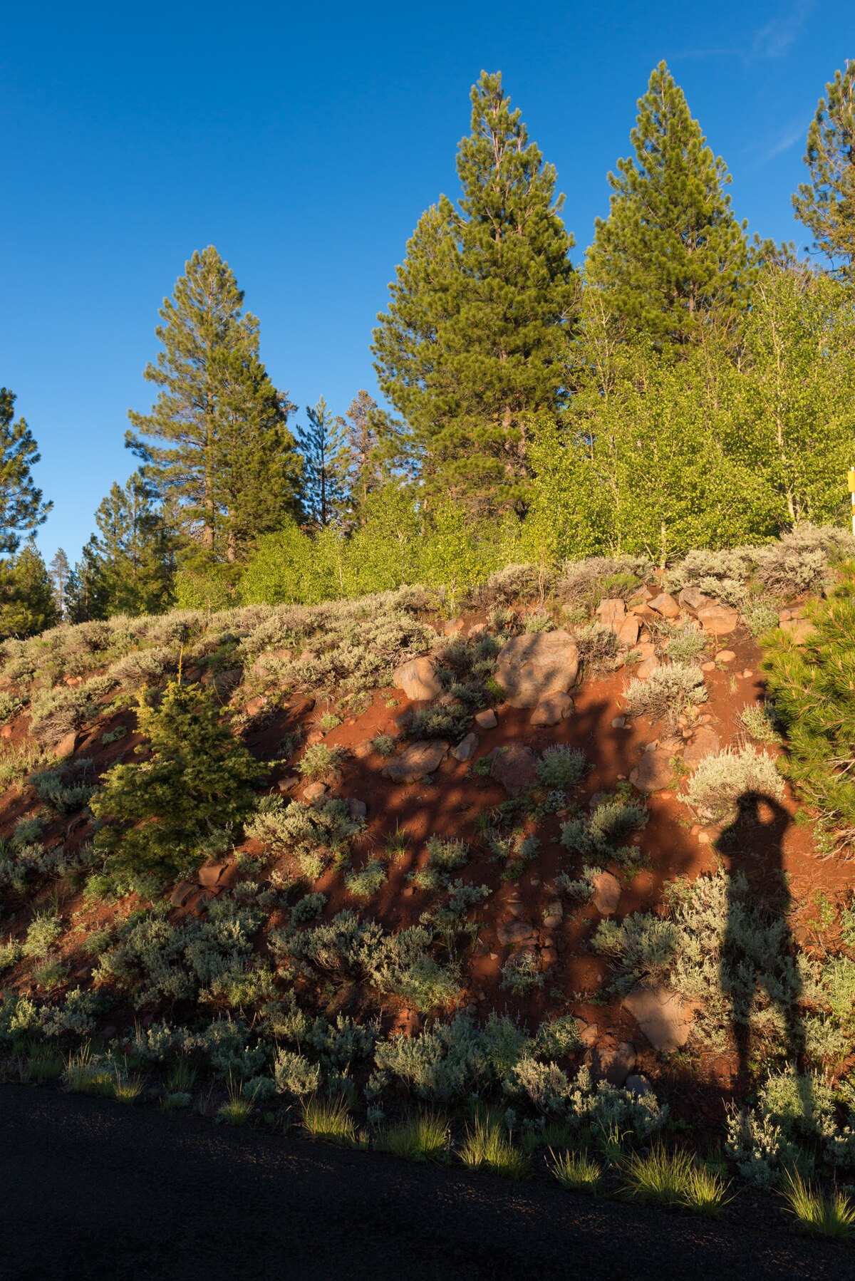 Mud Creek Campground