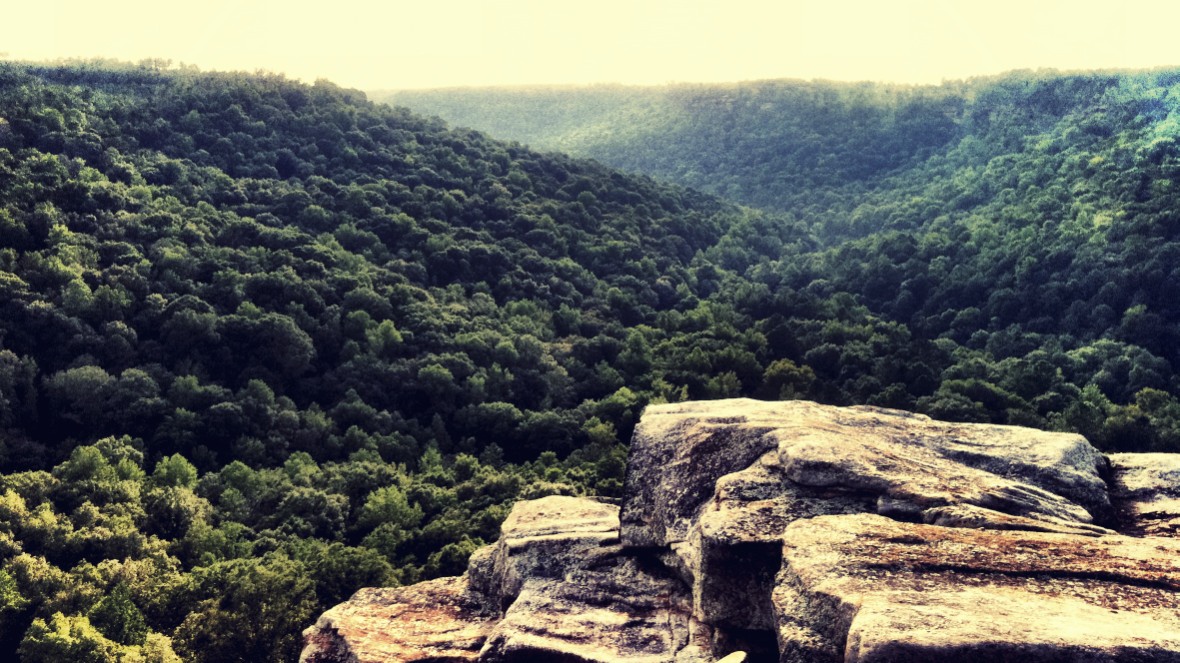 Bucks Pocket State Park