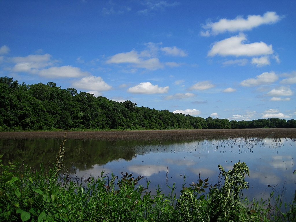 Meeman-Shelby Forest State Park