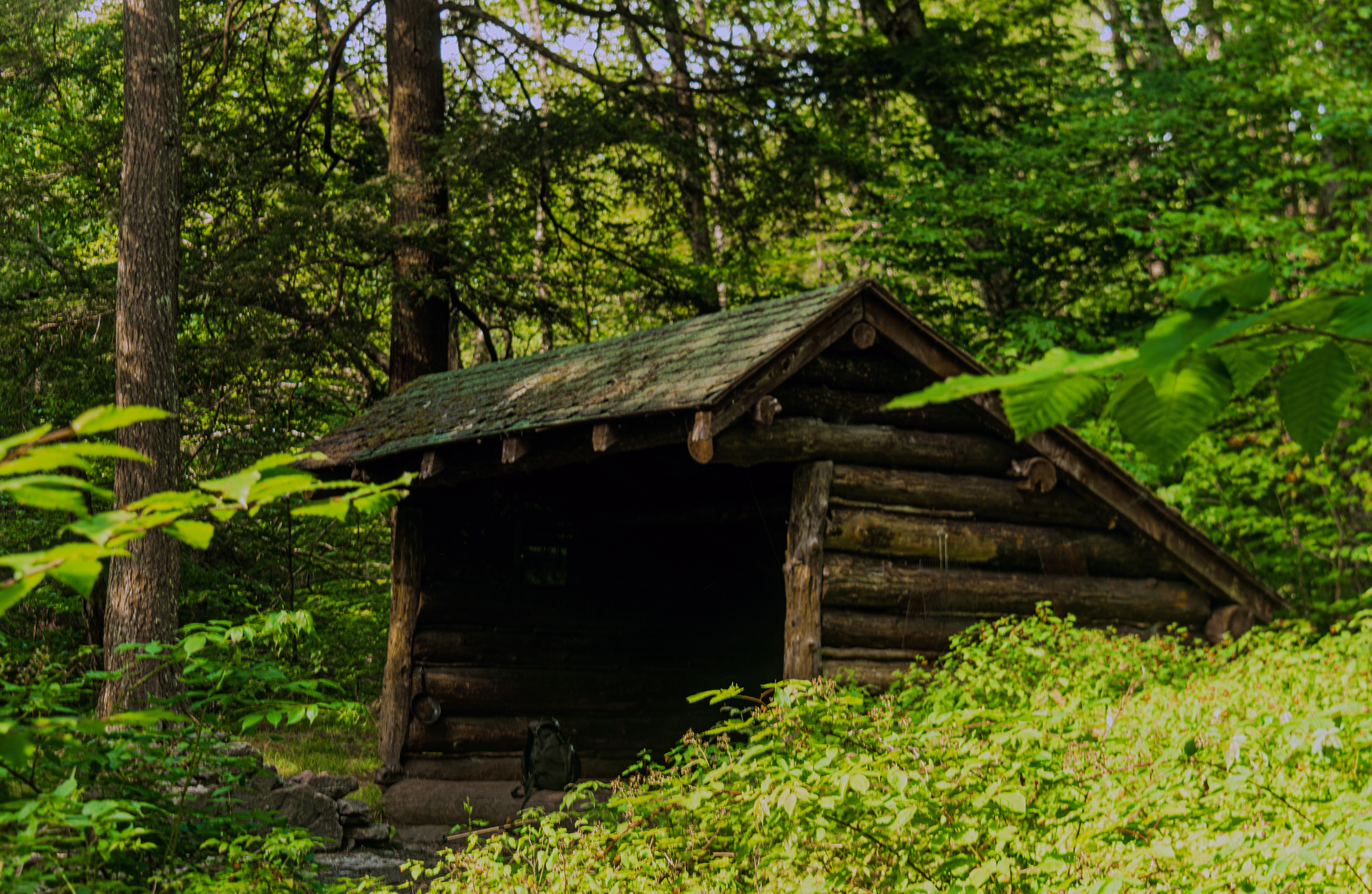Beaverkill
