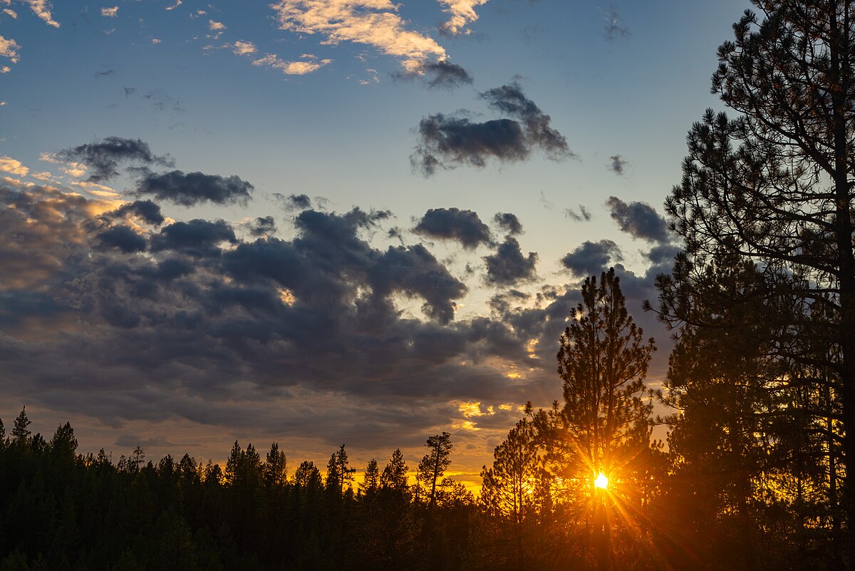 Frazier Campground