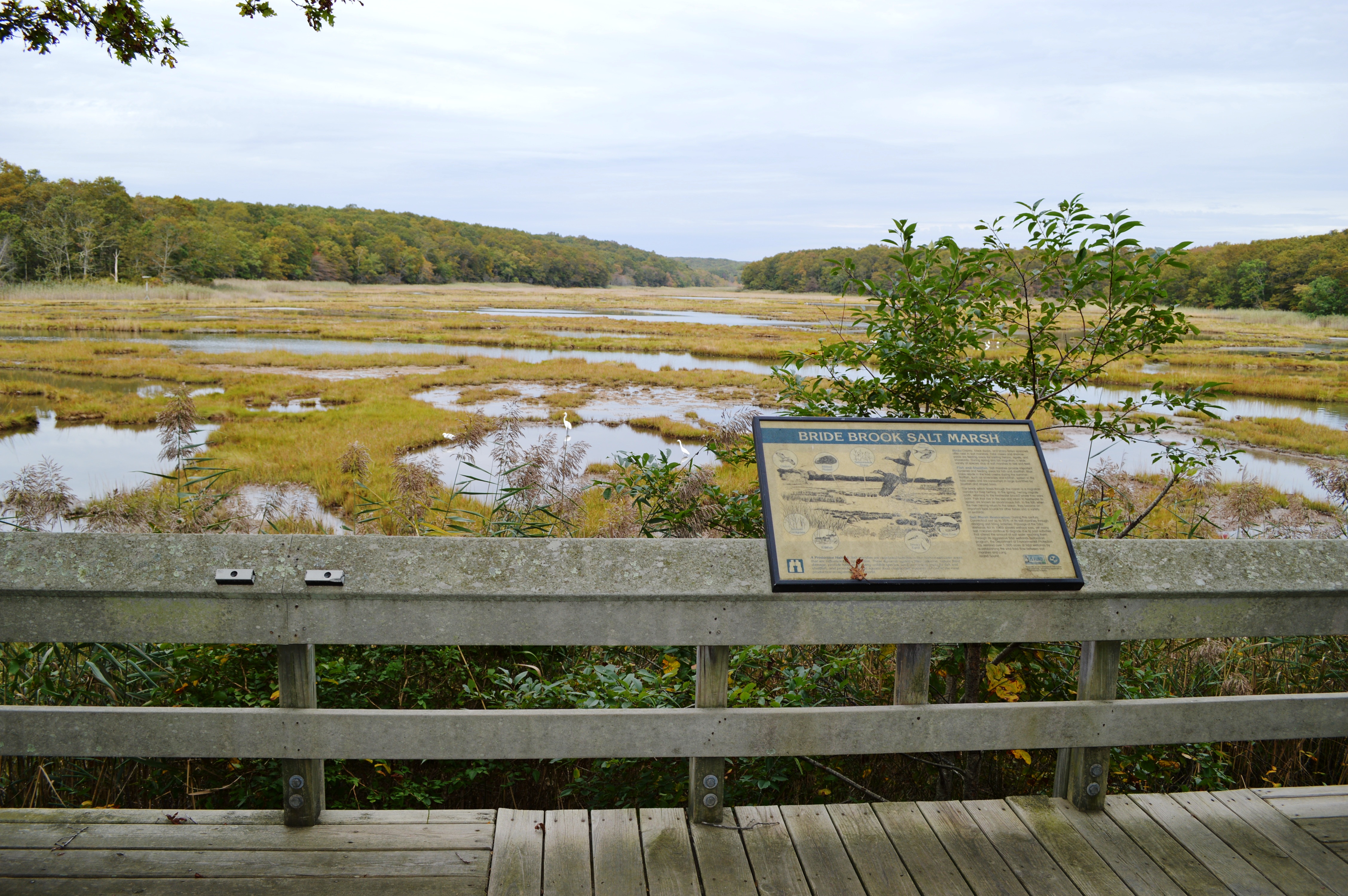 Rocky Neck State Park