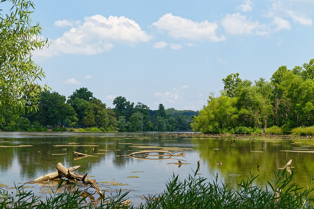 Cove Lake State Park