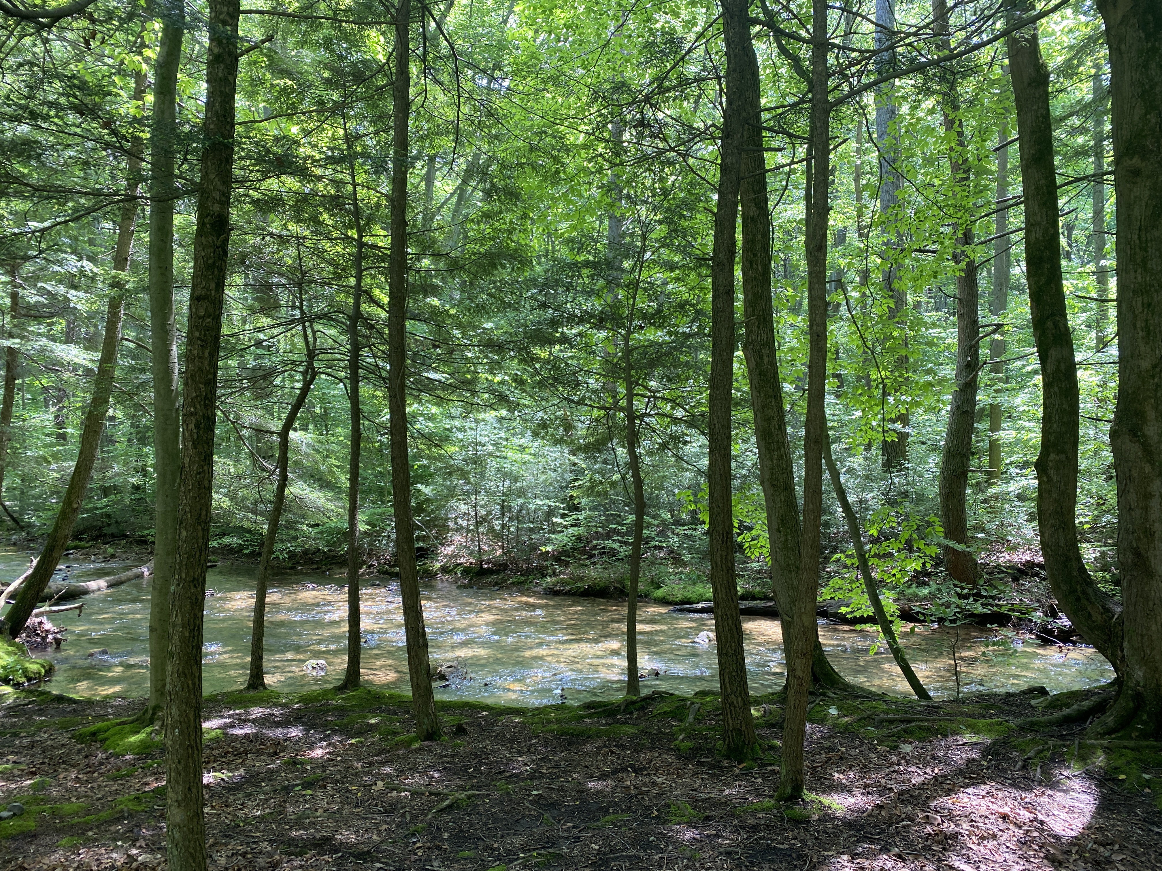 Fowlers Hollow State Park