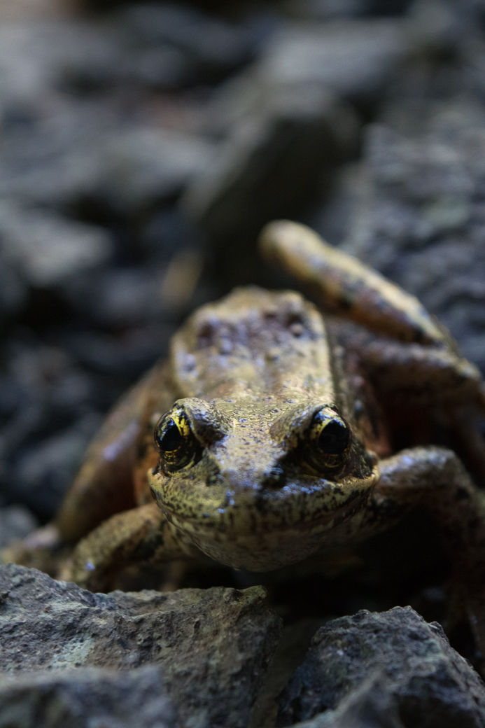 Coolwater Campground